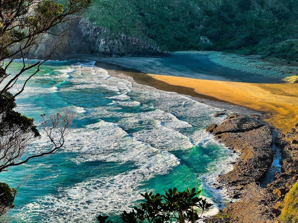 Te Waha Point