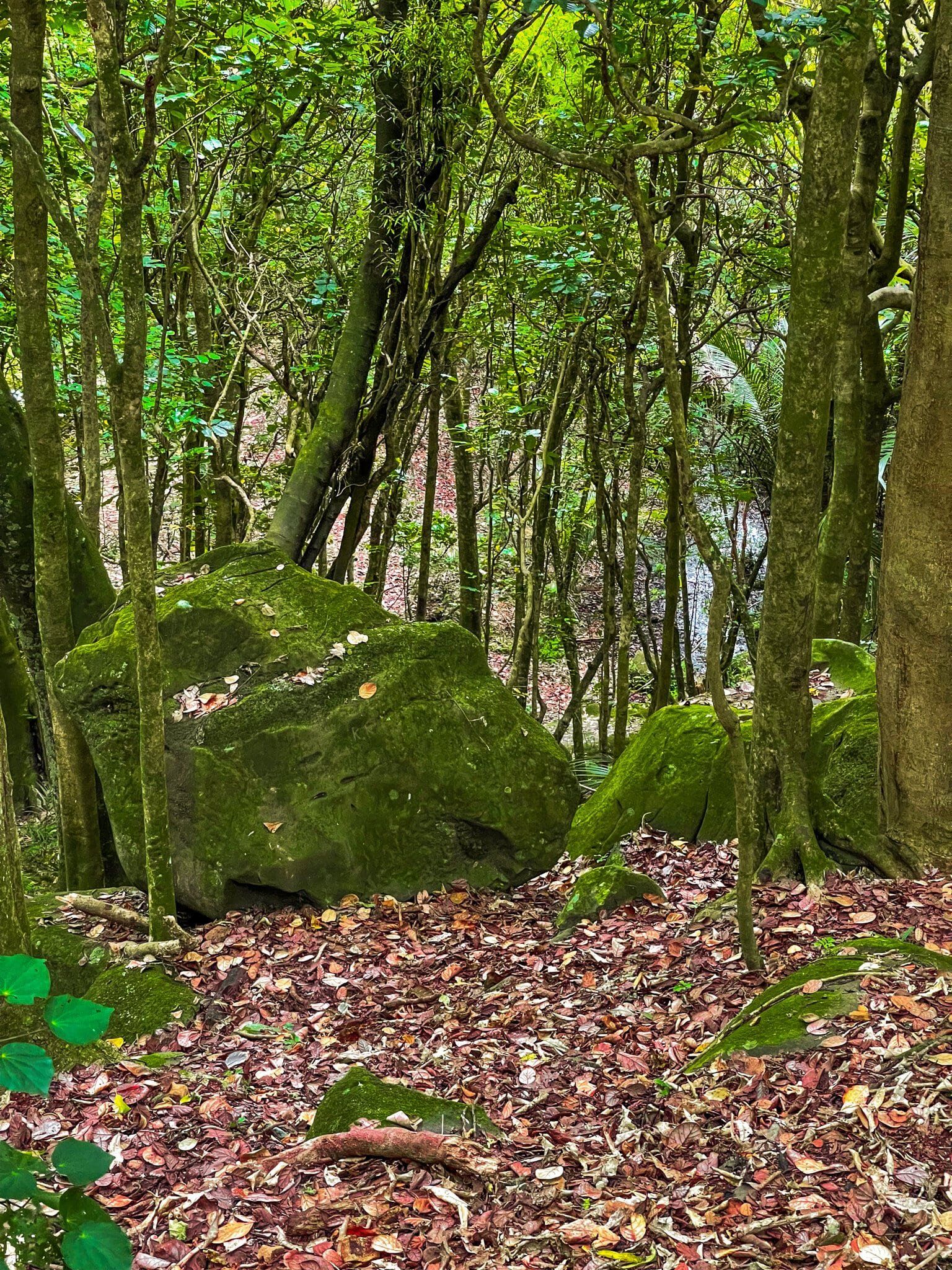Image 4 of 8