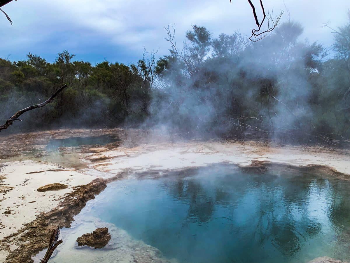 Tokaanu Thermal Walk