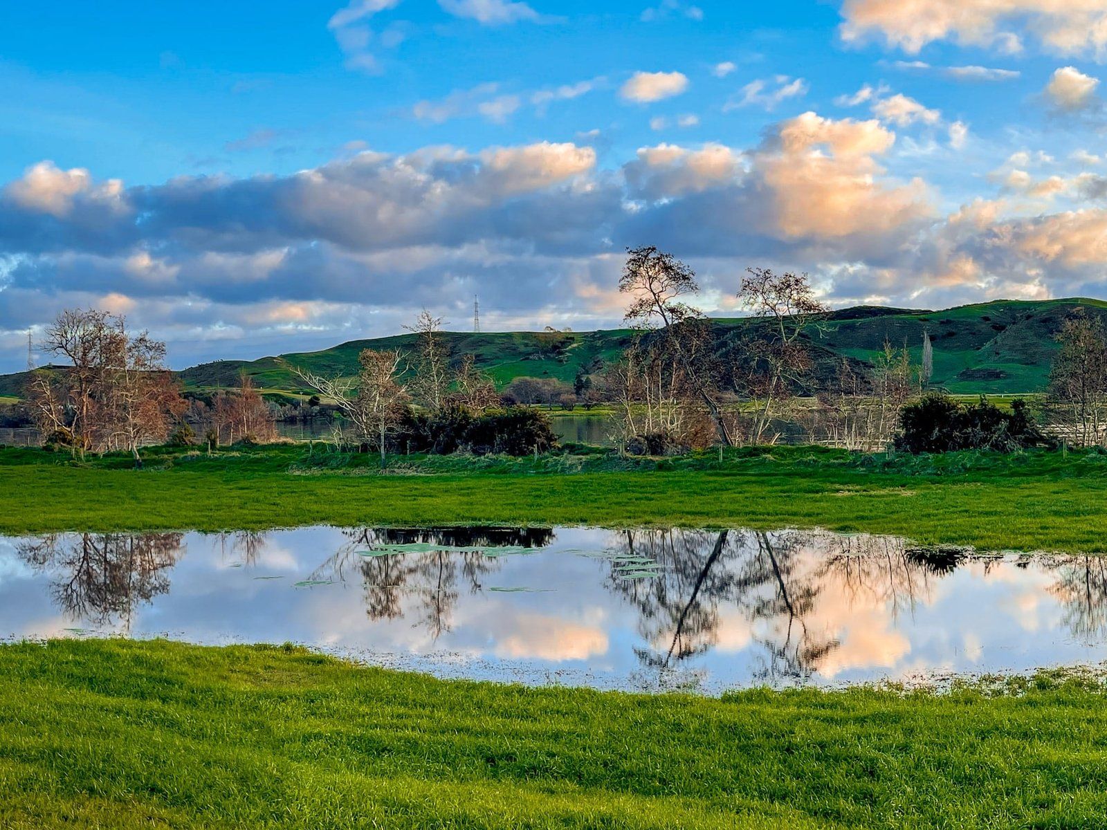 Short but Sweet: the Best Quick Walks in Northern Waikato