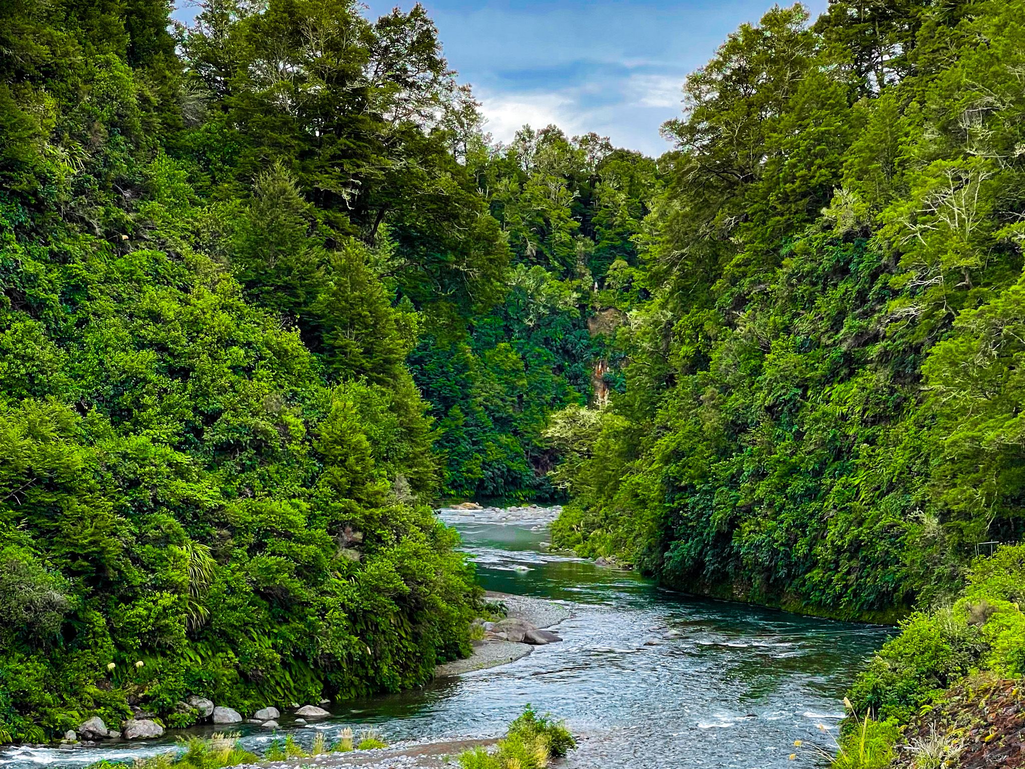 Long Weekend in the Eastern Kaimanawa Forest Park