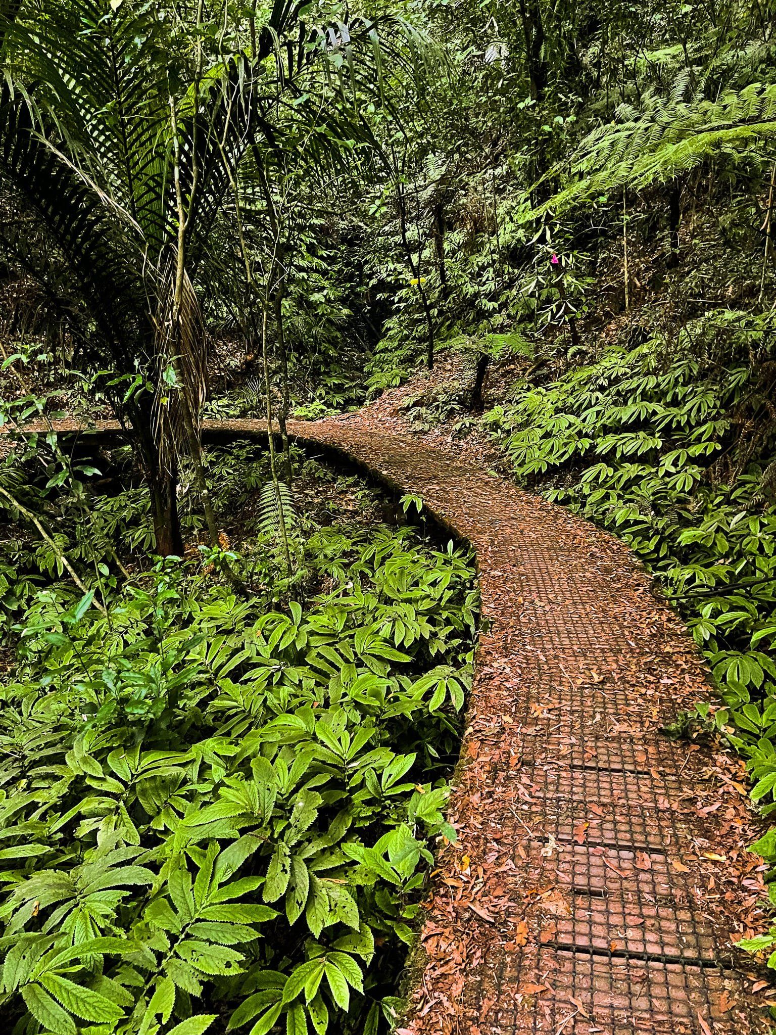 Image 7 of 10