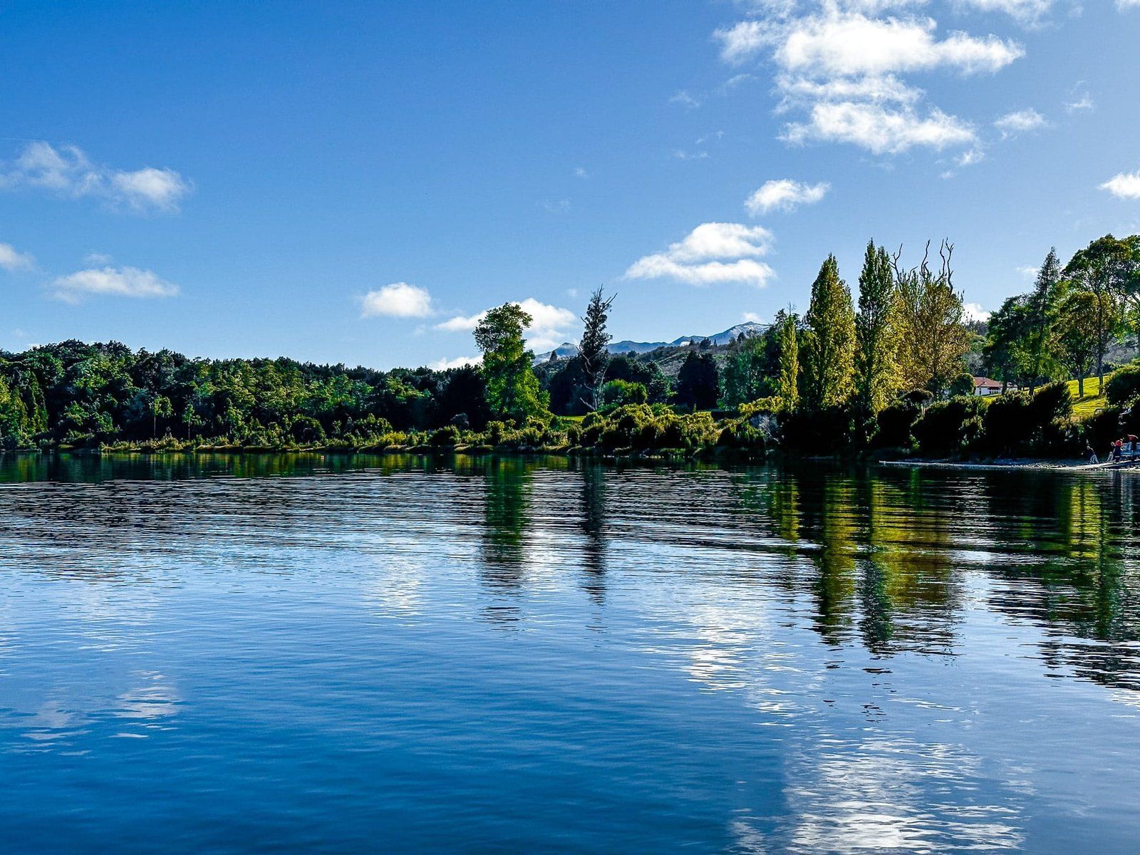 Te Anau Downs and Boat Harbour