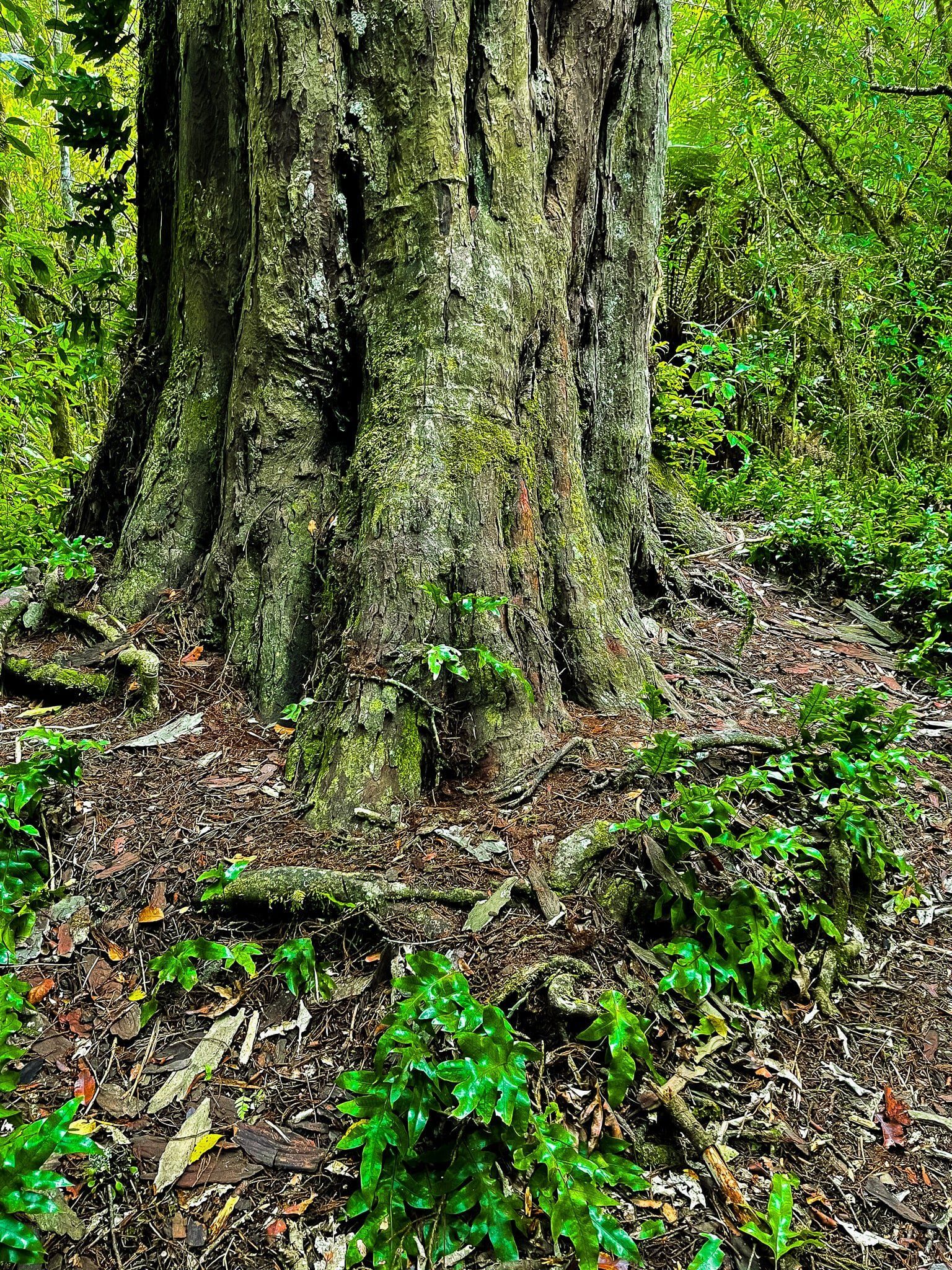 Image 10 of 10