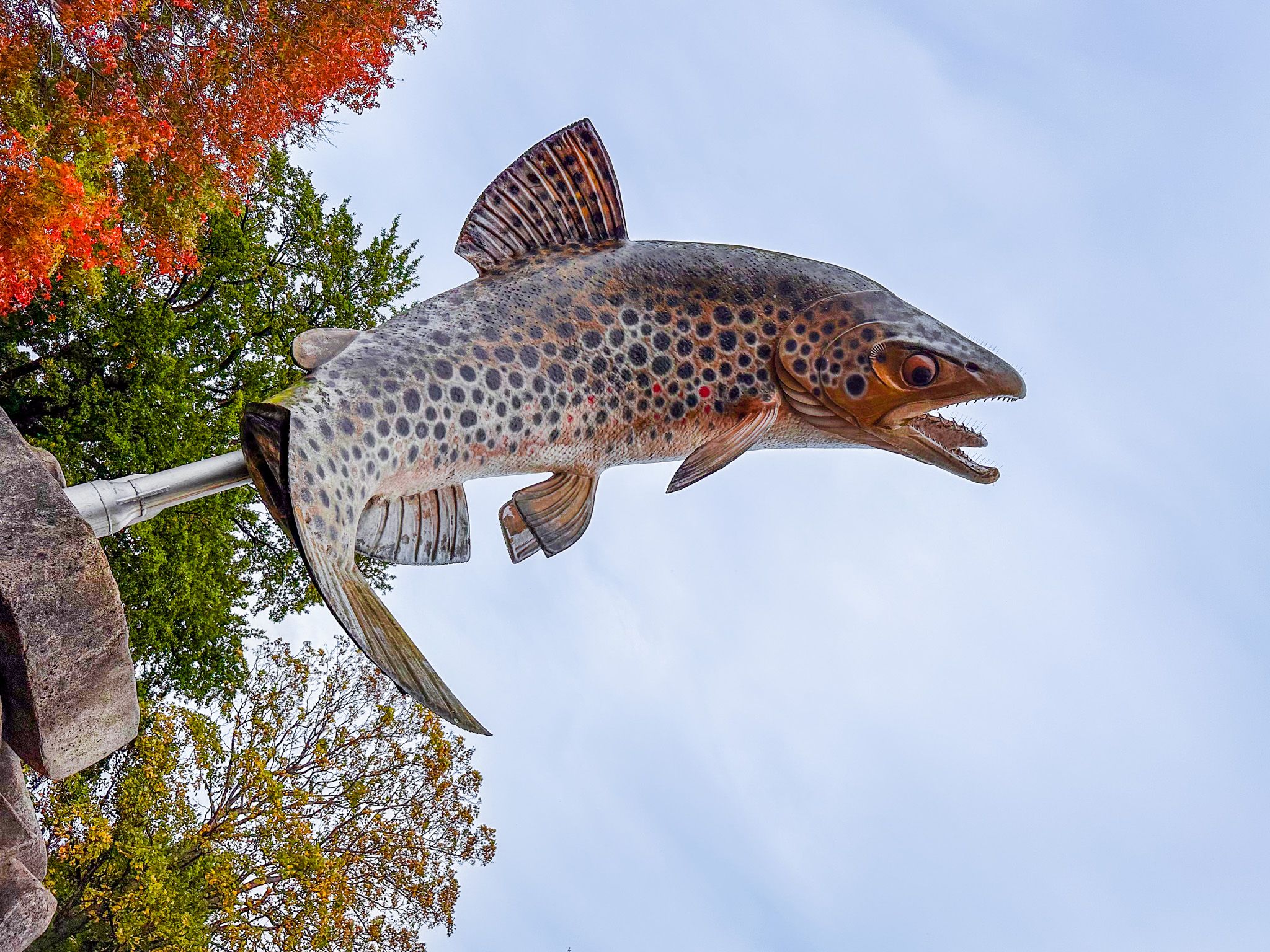 A weekend in Gore: trout, moonshine, art and walks