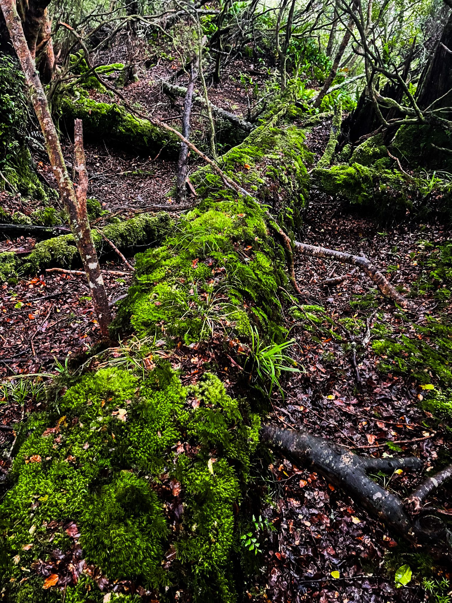 Image 6 of 10