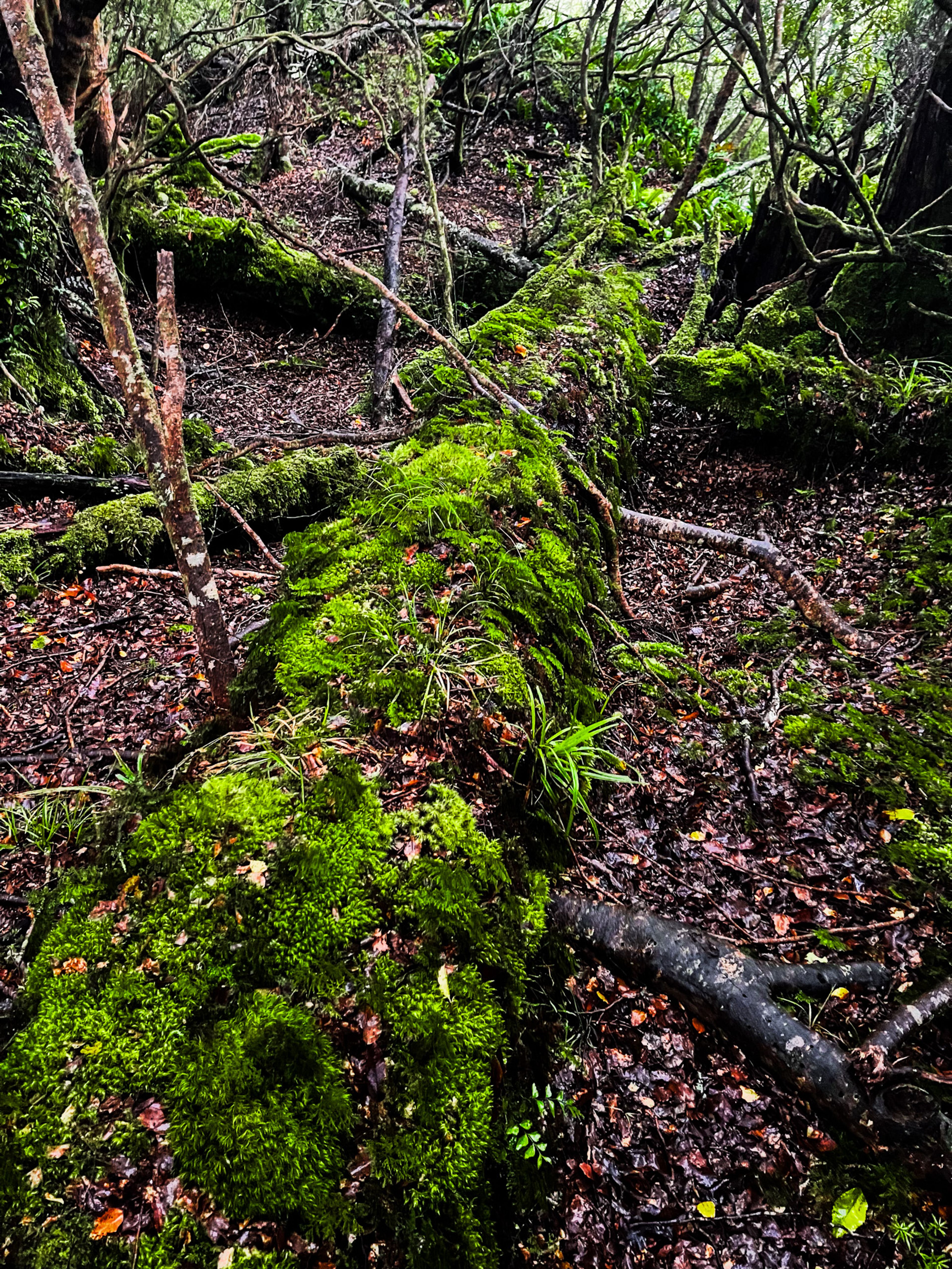 Image 6 of 10