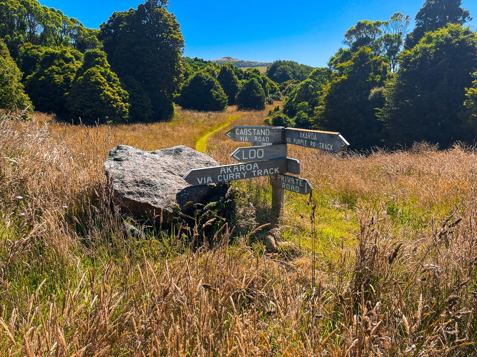 Image 9 of 10