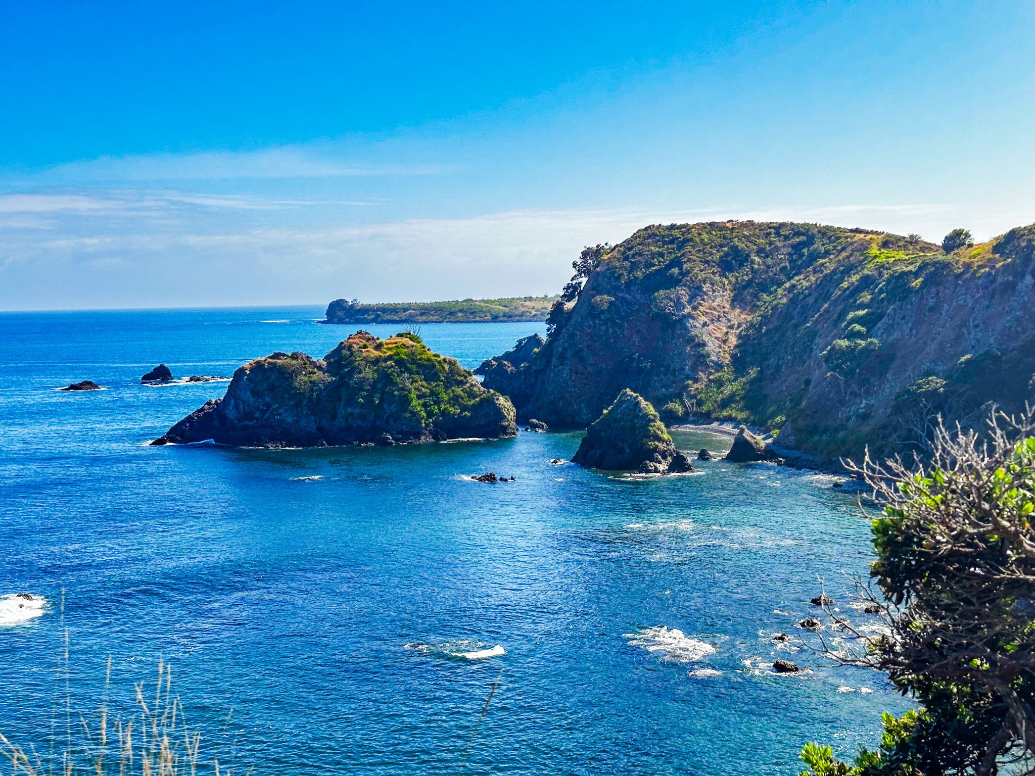 Far North Explorations on Wainui Road