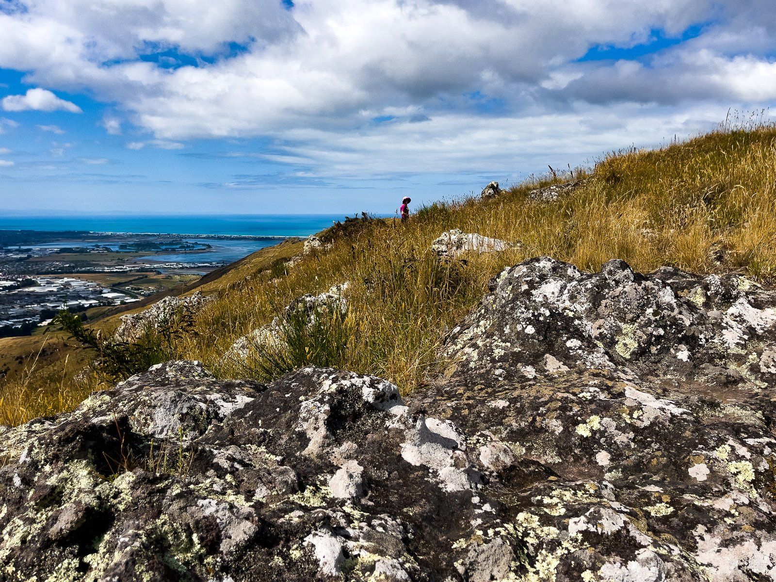 Image 12 of 12