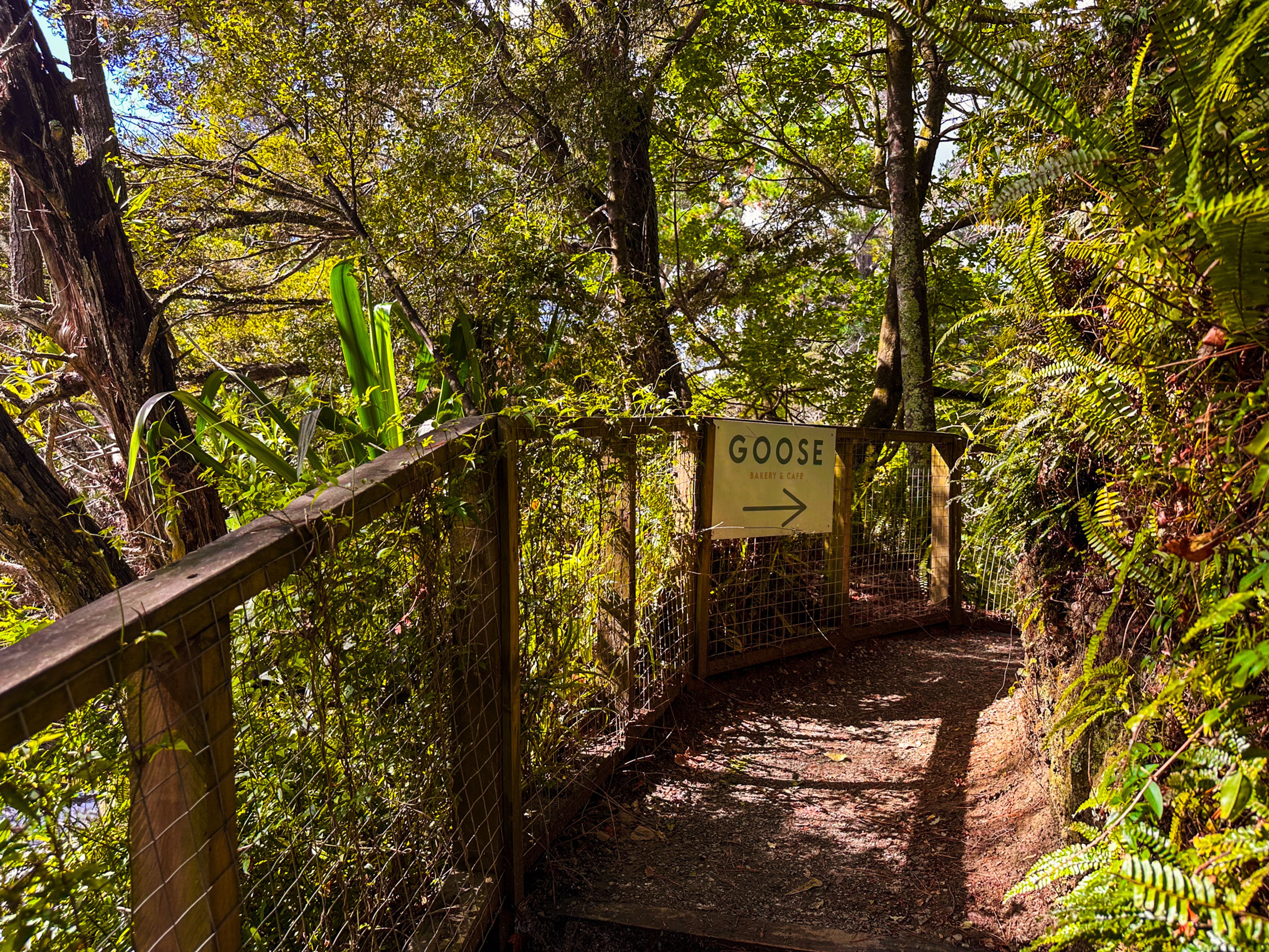 Image 7 of 10