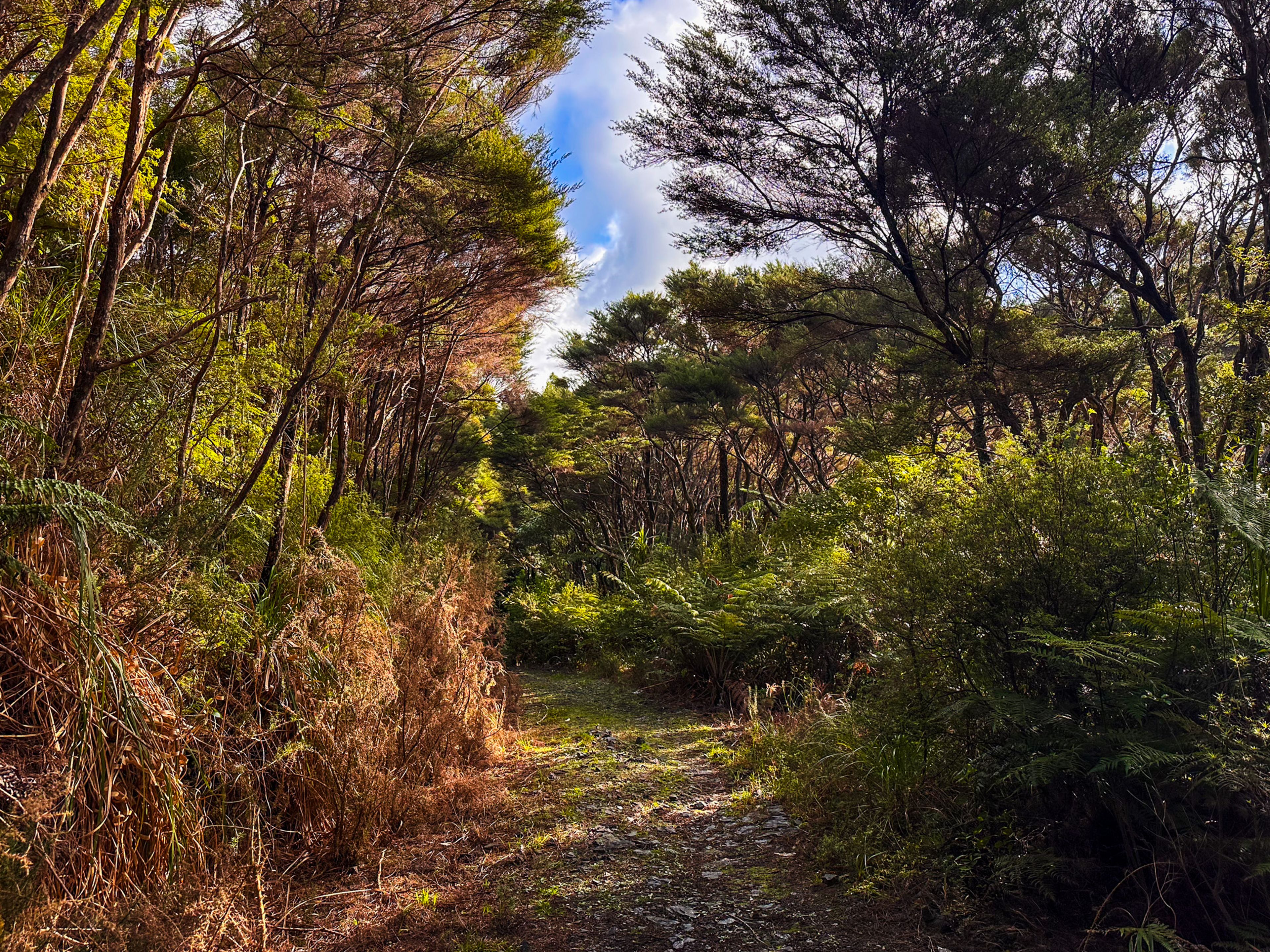 Image 9 of 10