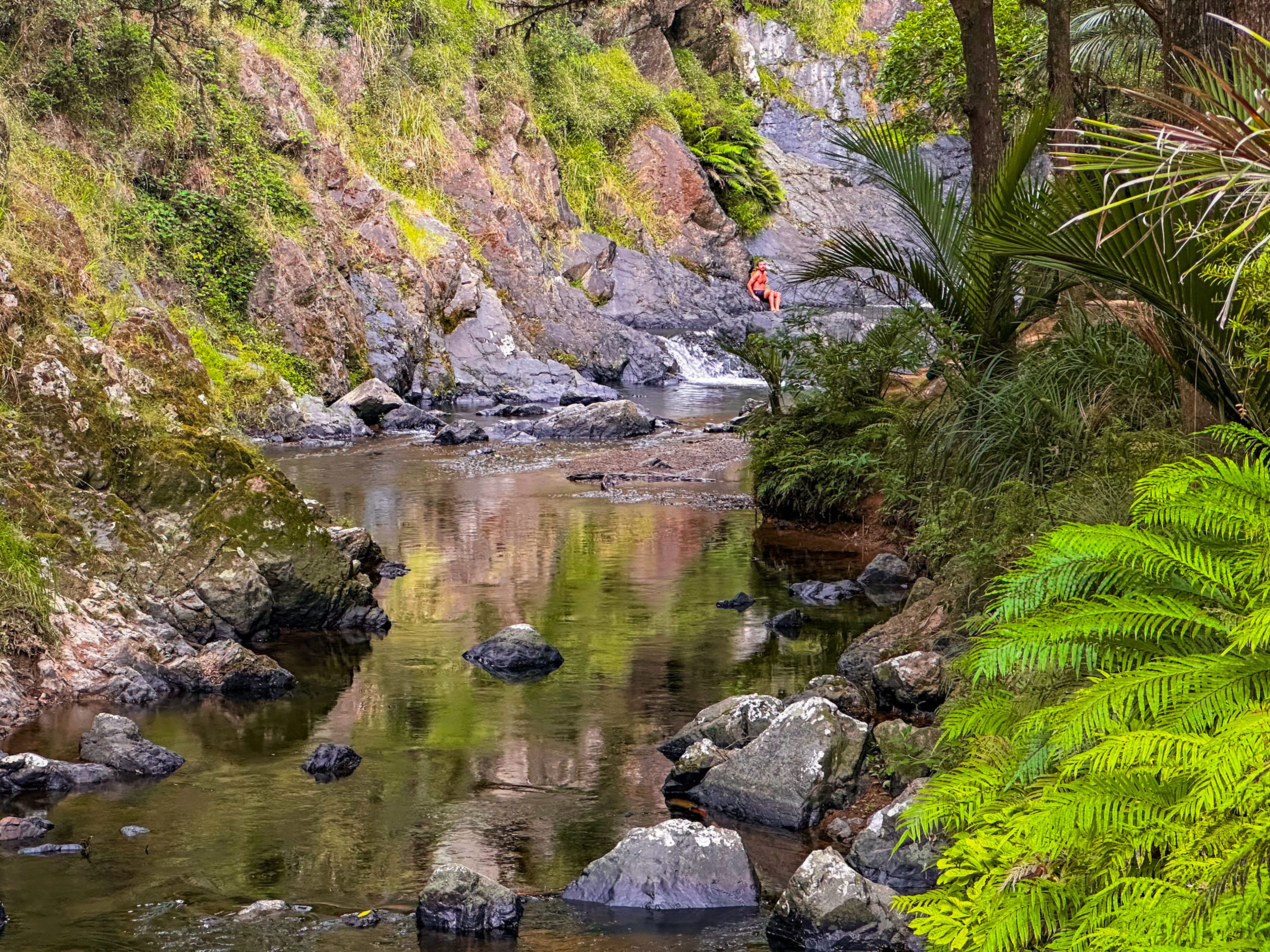 Image 4 of 10