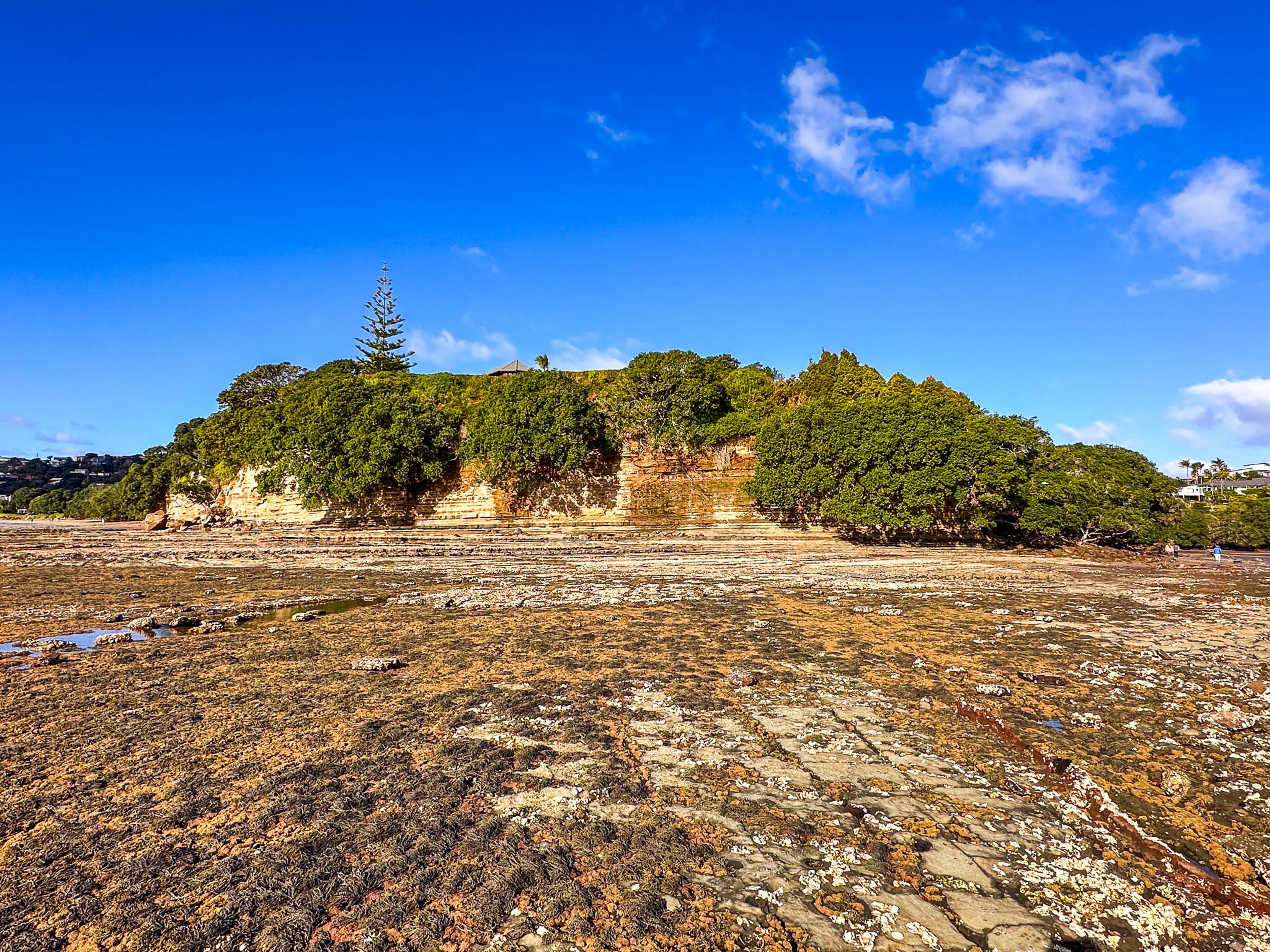 Image 7 of 10
