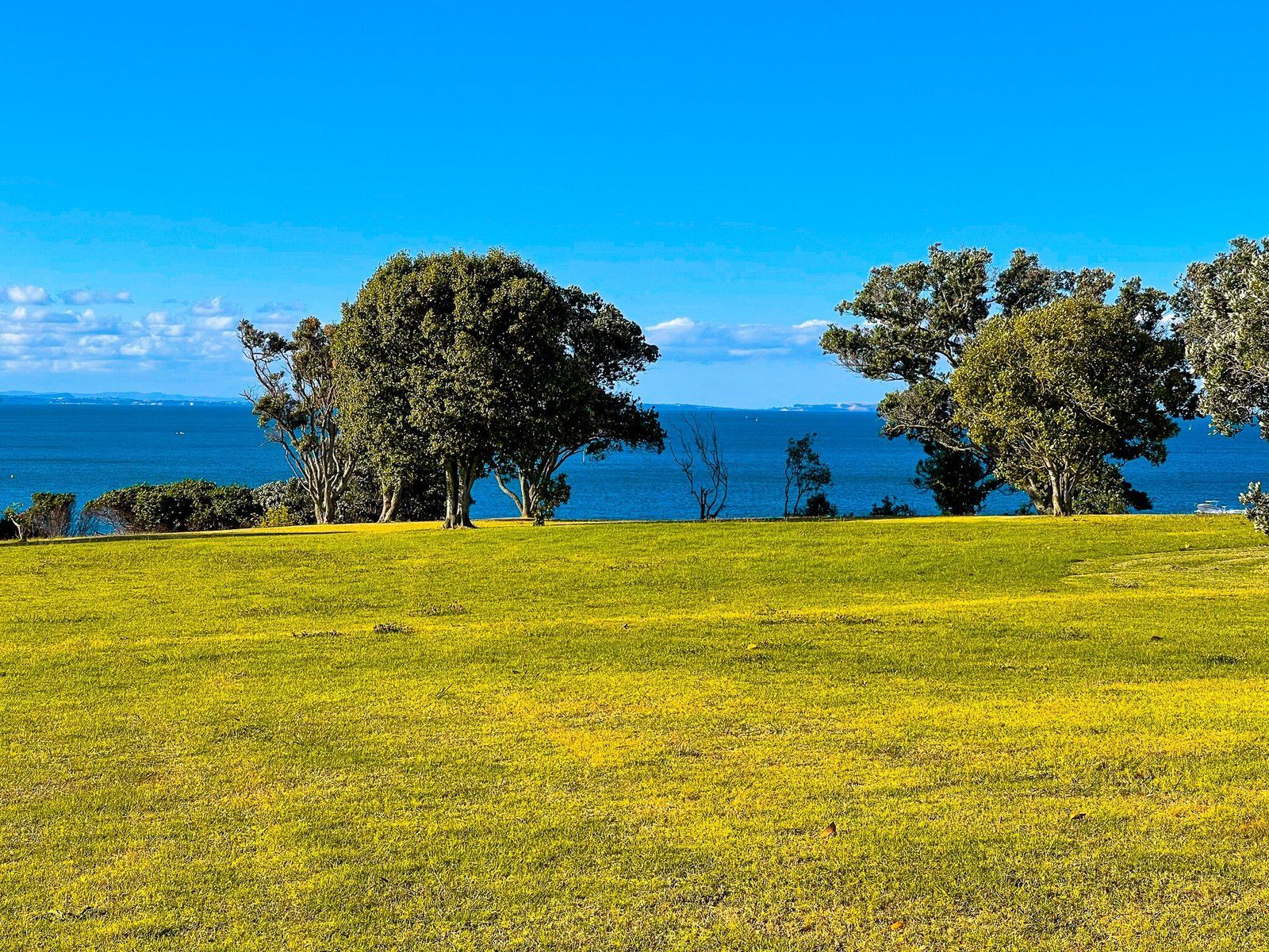 Image 7 of 8