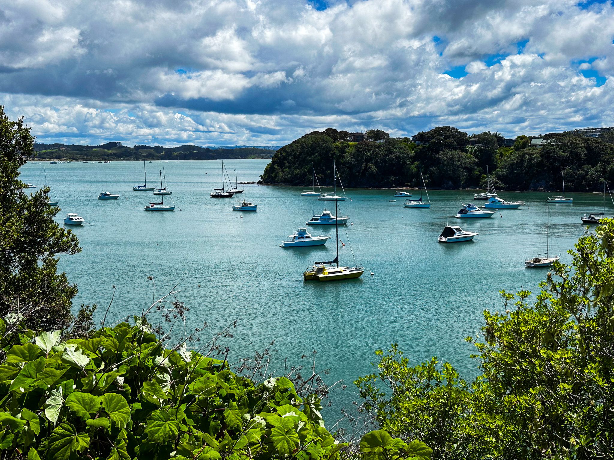 A Day of Discovery Near Kerikeri