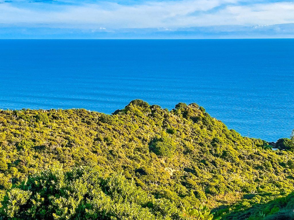 Image 4 of 7