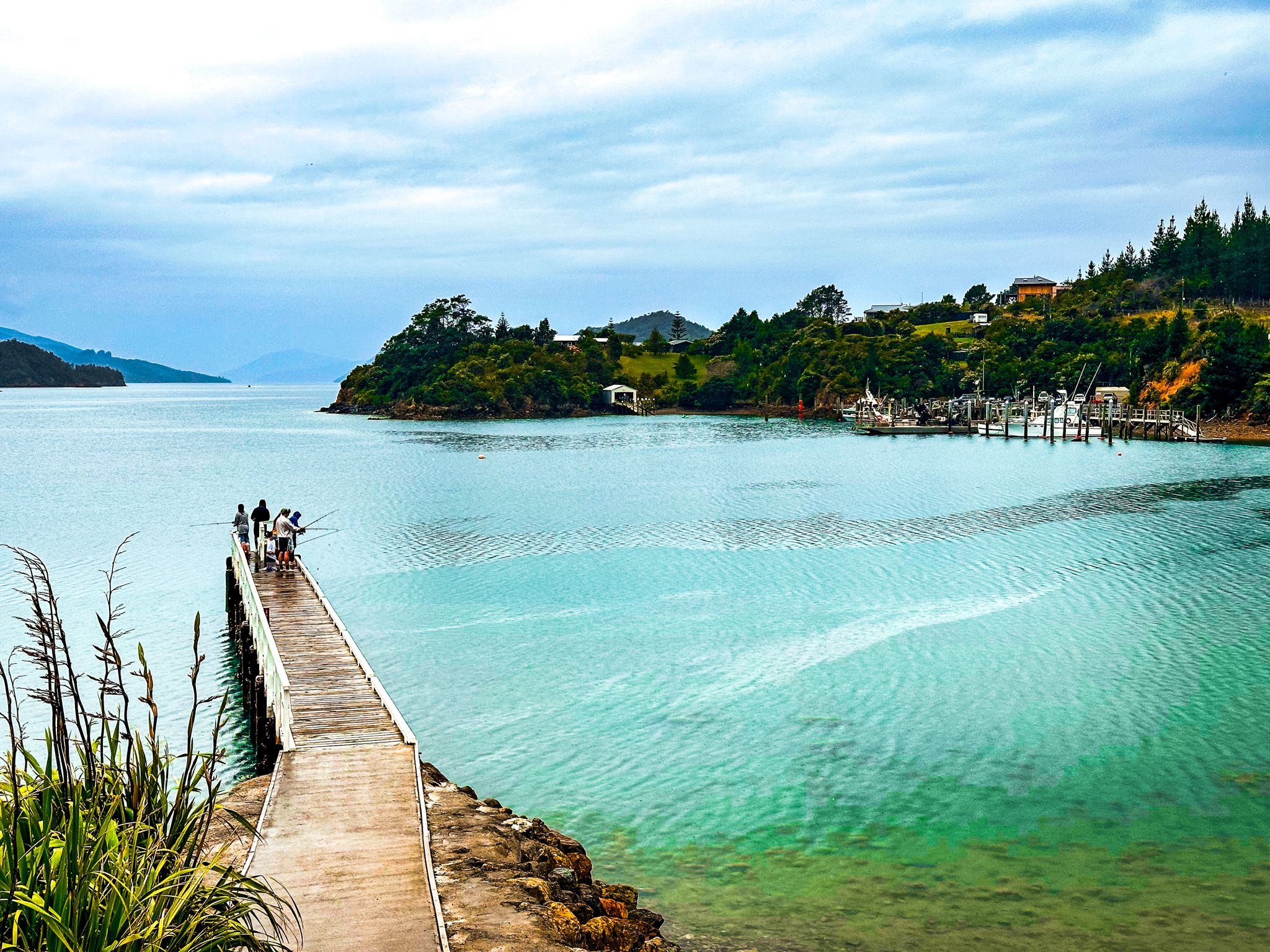 people fishing from the wharf at elaine bay