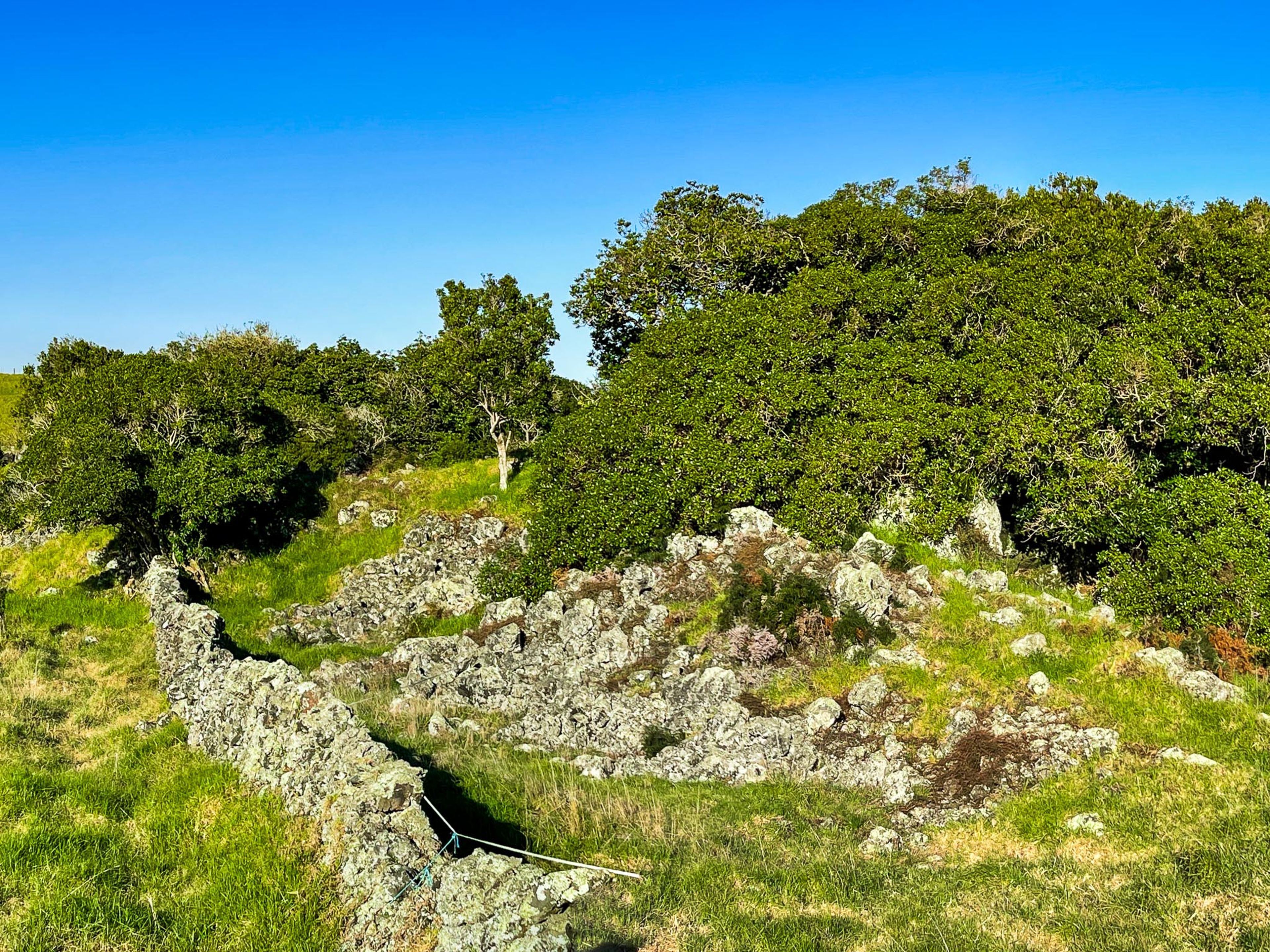 Image 6 of 10