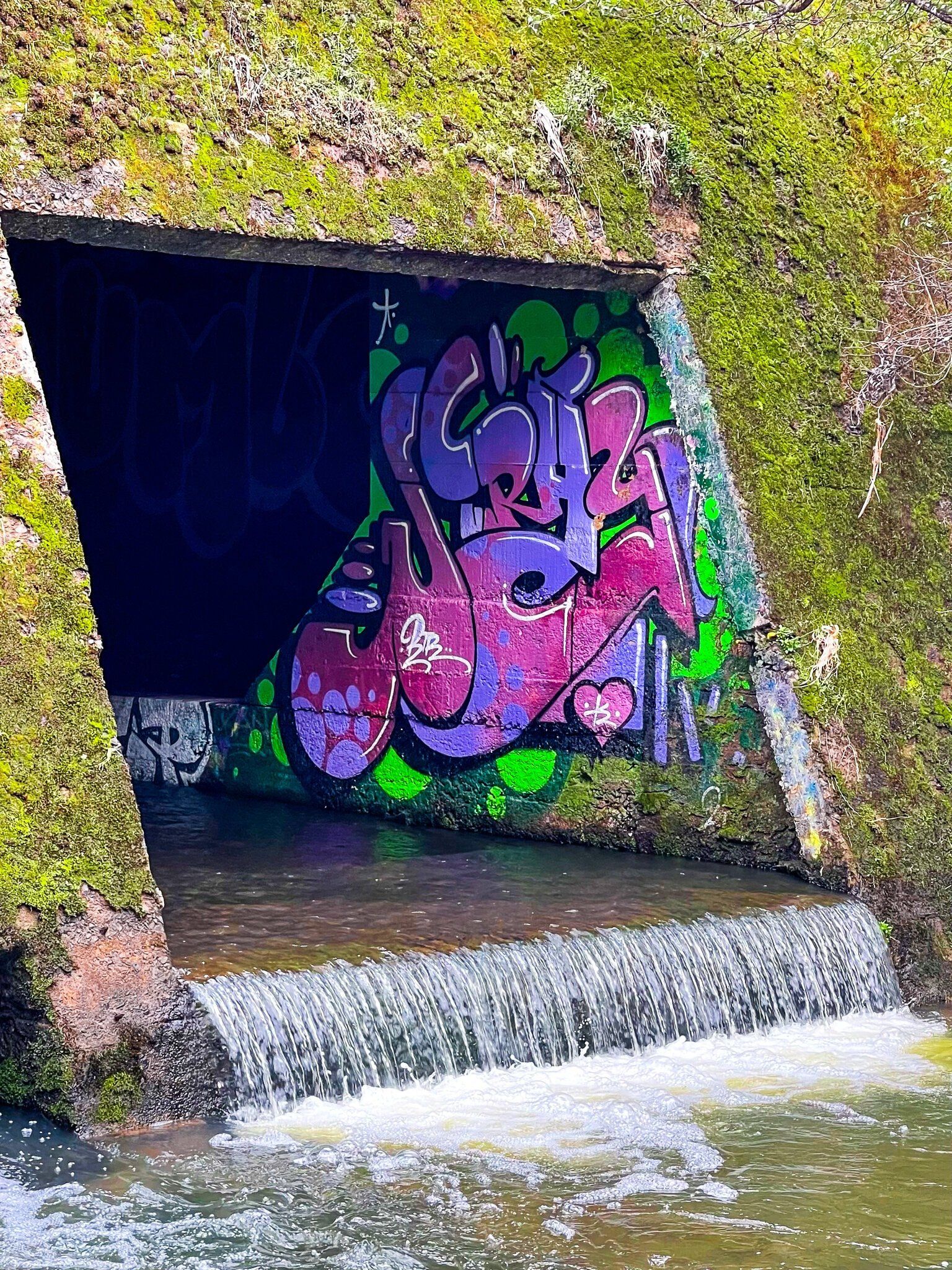 Image 8 of 9