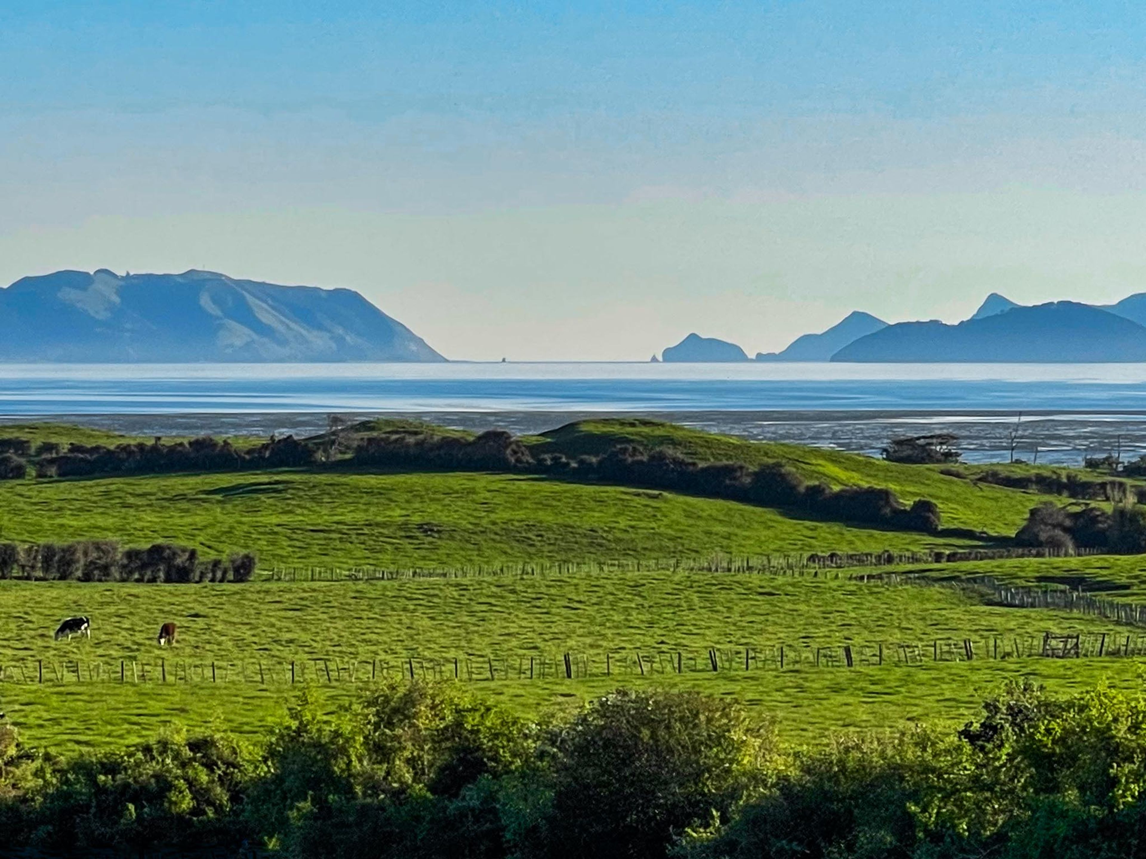 Maunga-taketake / Ellets Beach