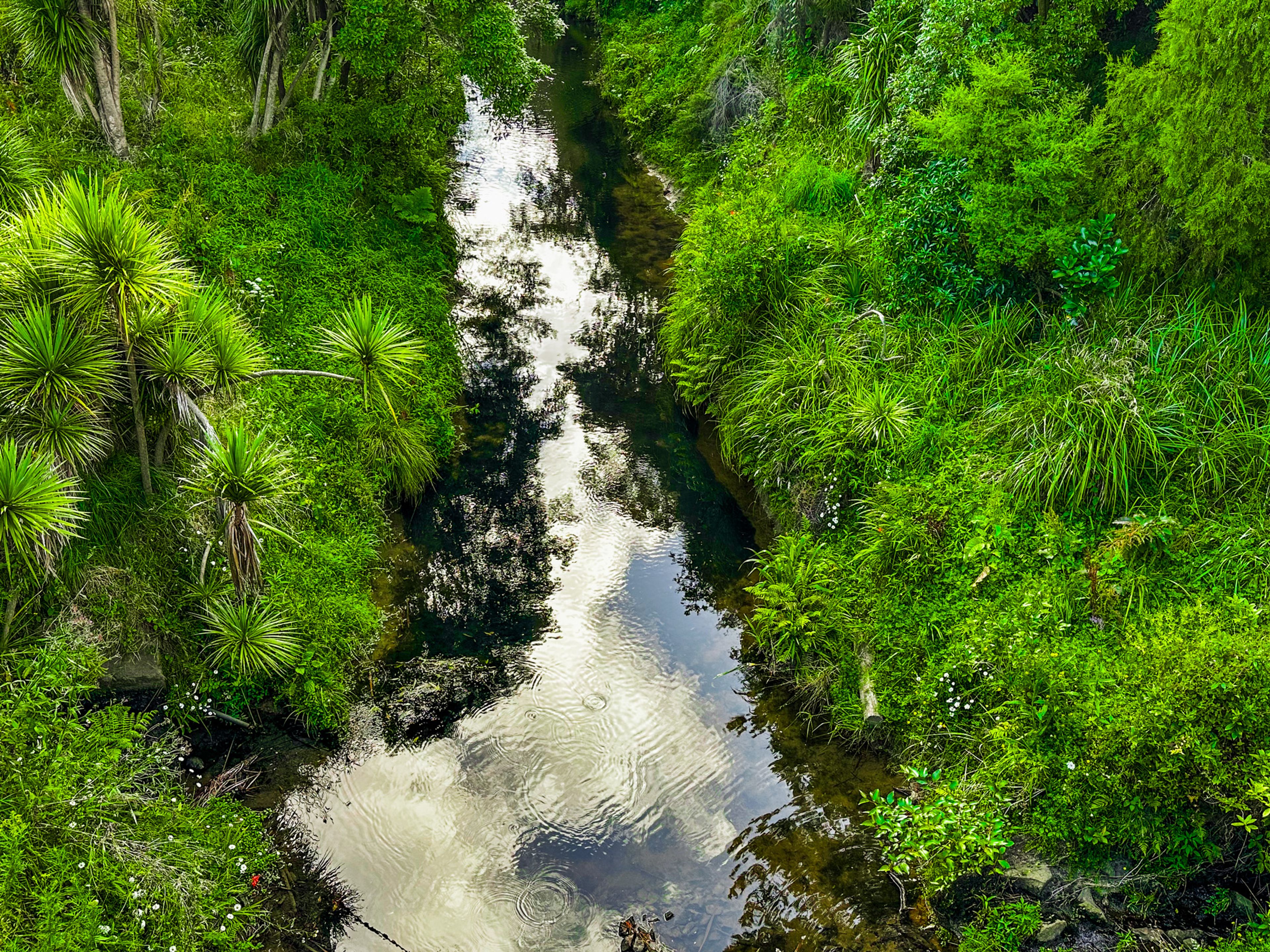 Image 10 of 10