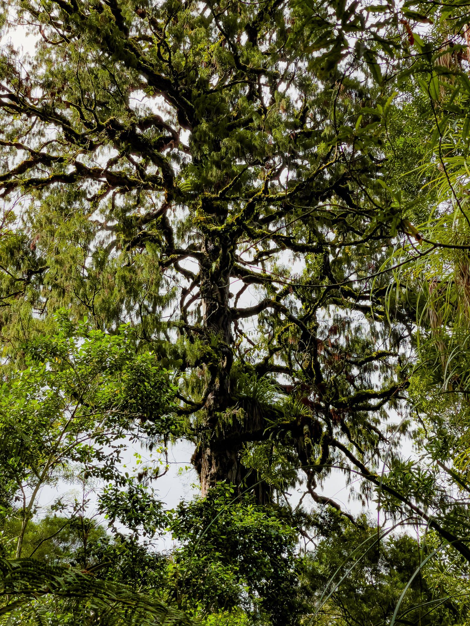Image 8 of 10