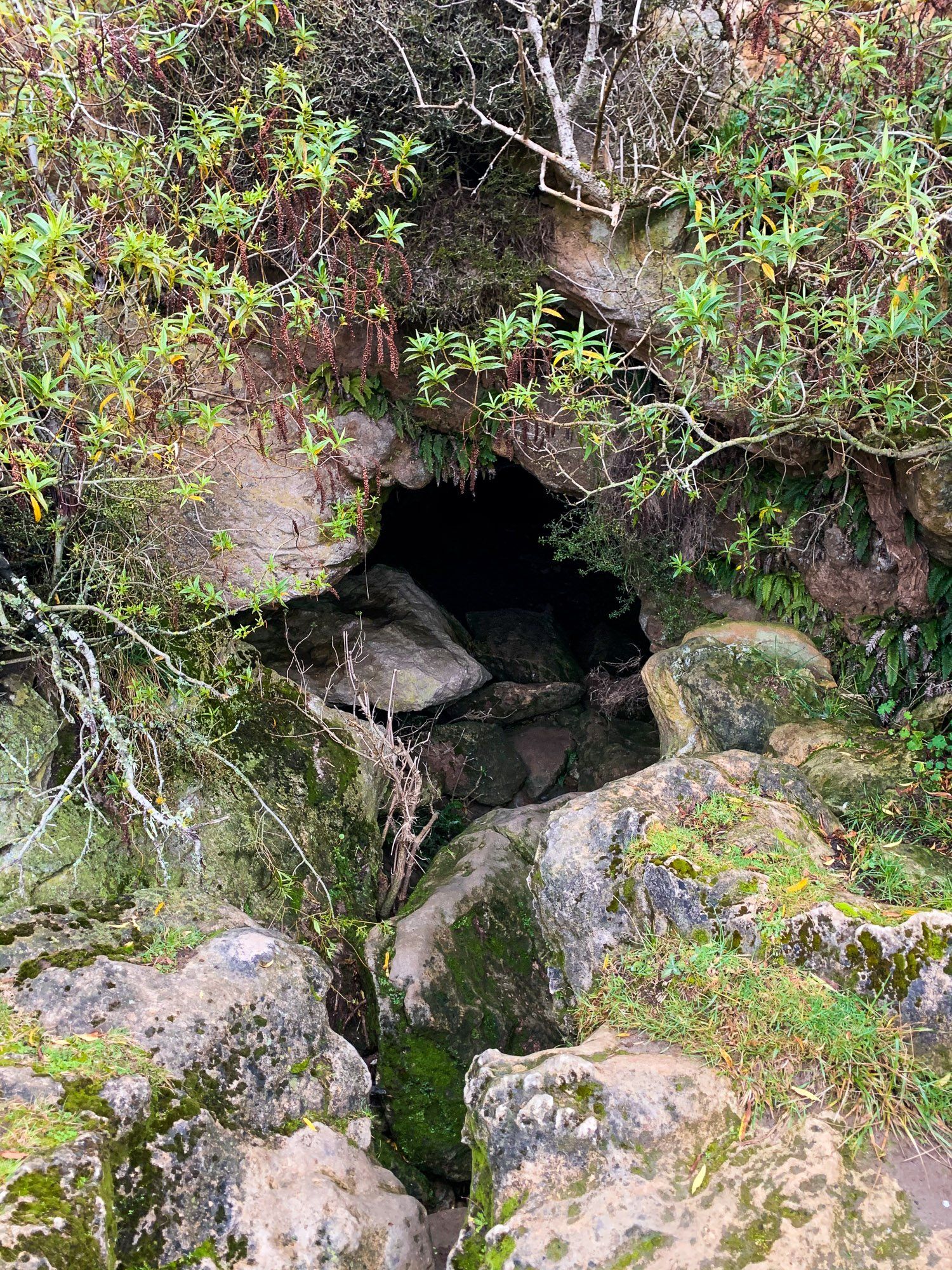 Image 2 of 6