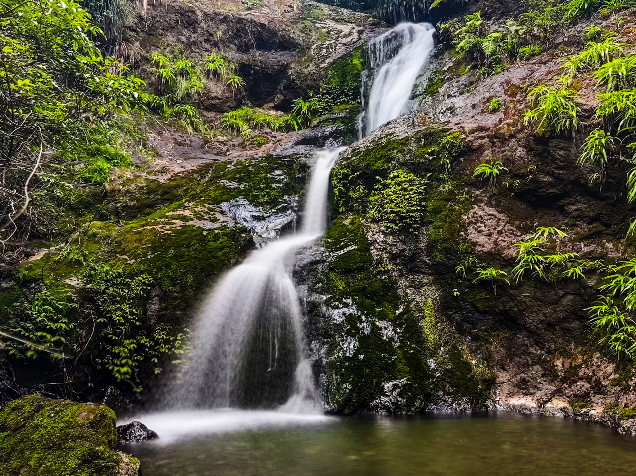 Waiotemarama Waterfall