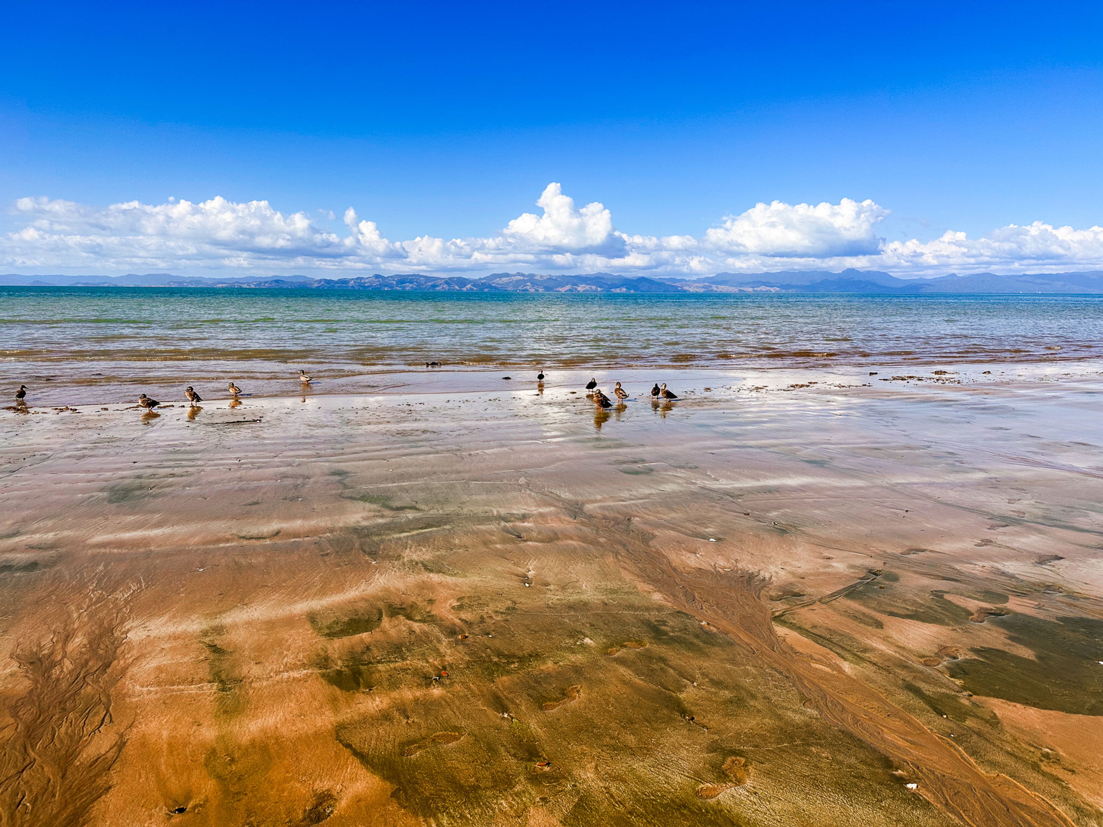 Tāpapakanga Beach