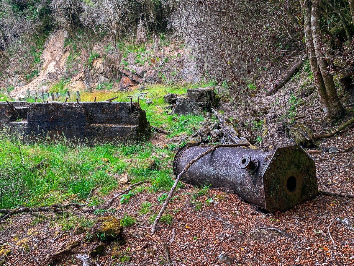 Image 2 of 7