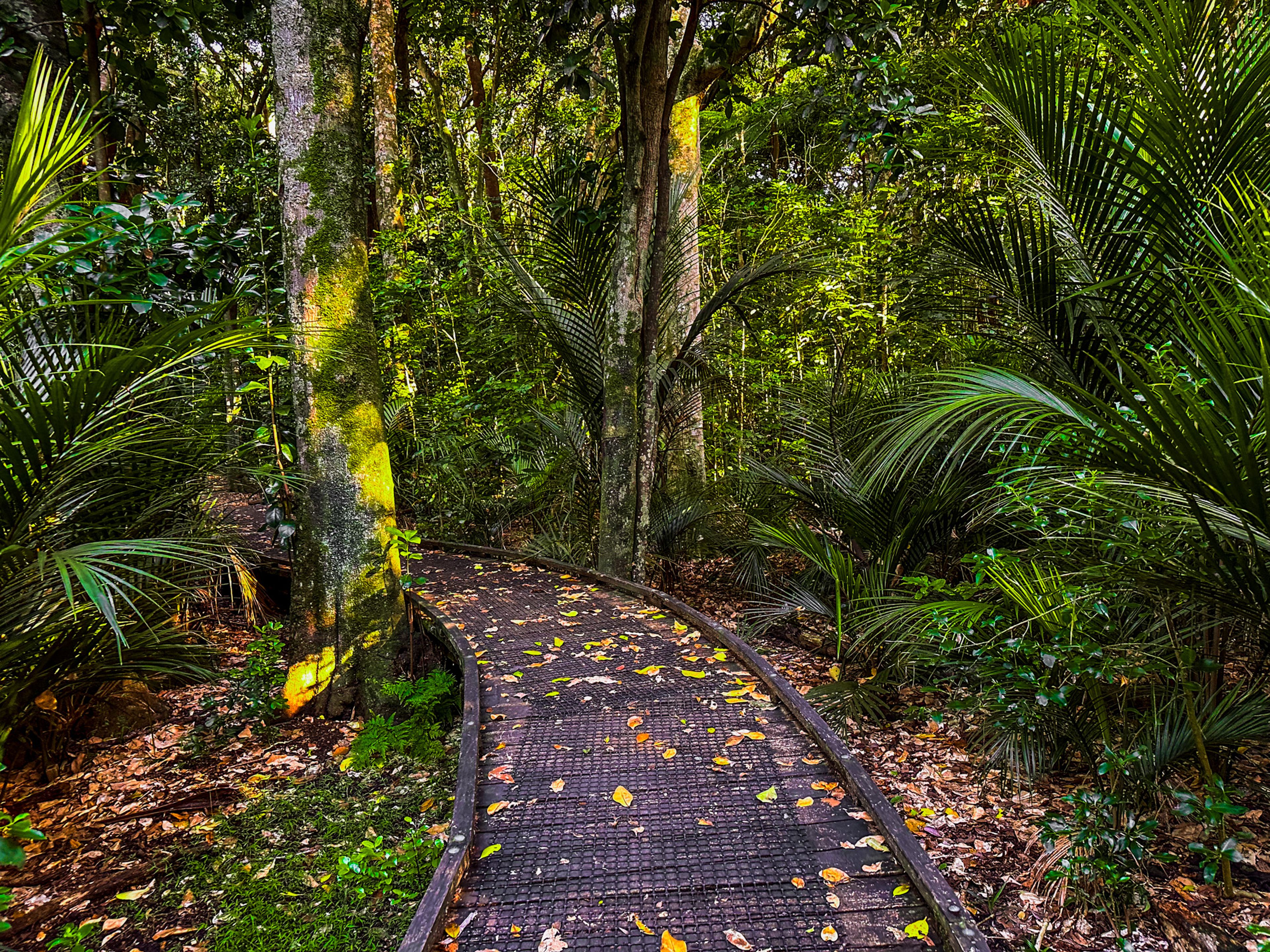 Image 7 of 10