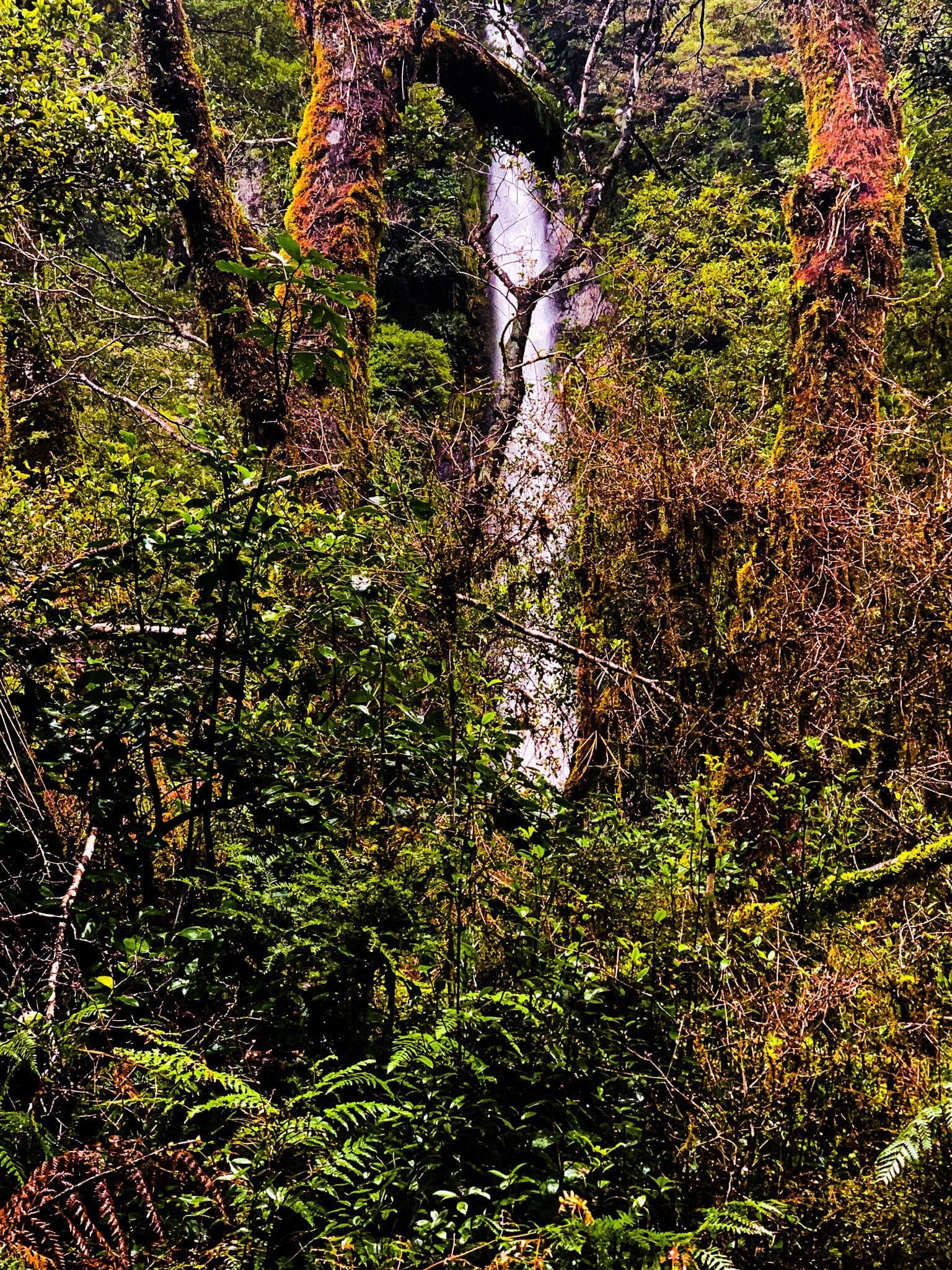 Image 5 of 6