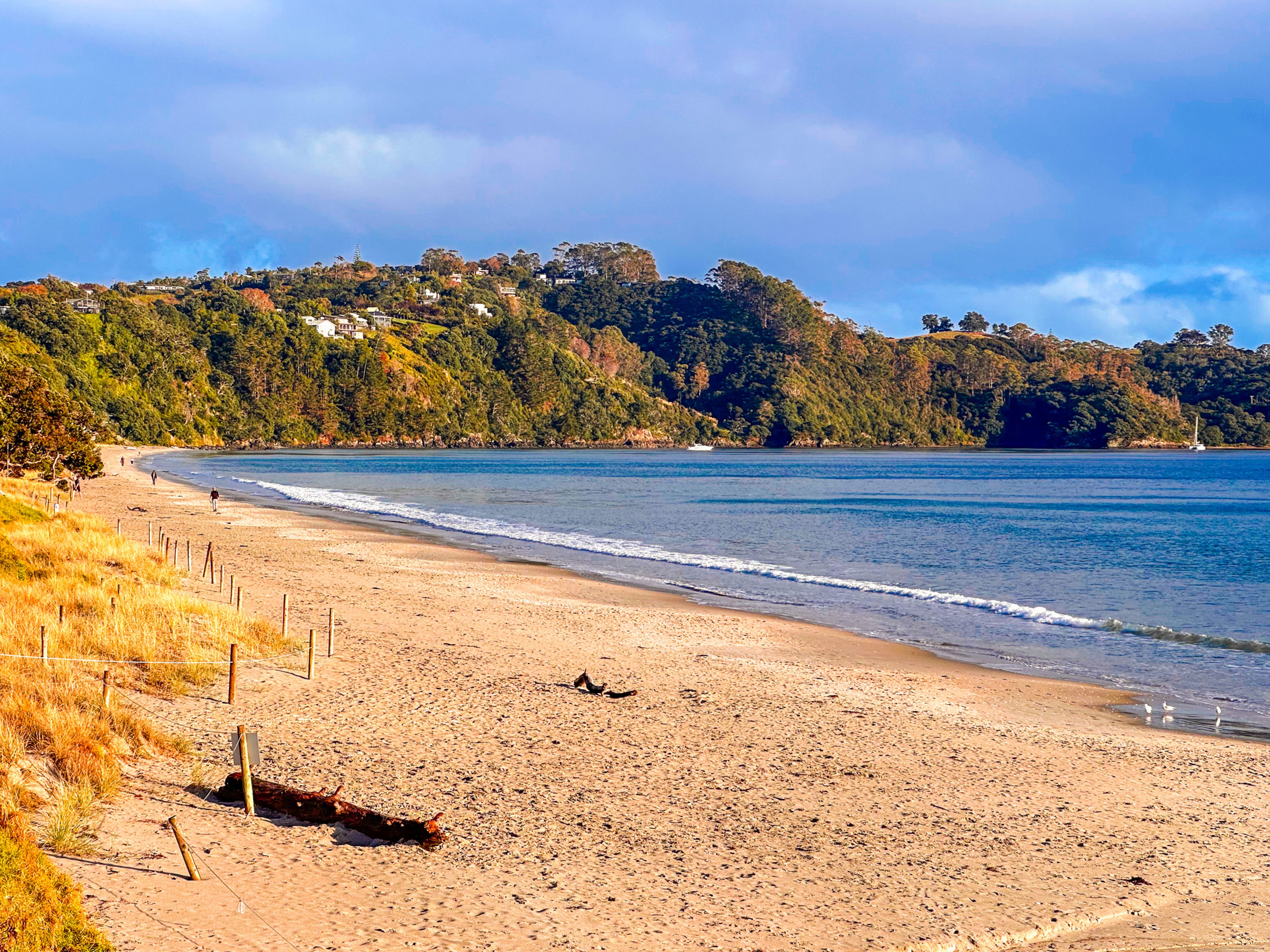 View along beautiful Onetangi Beach on a sunny afternoon