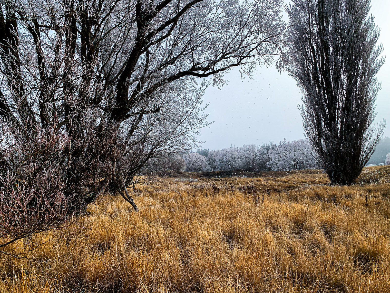 Image 5 of 5