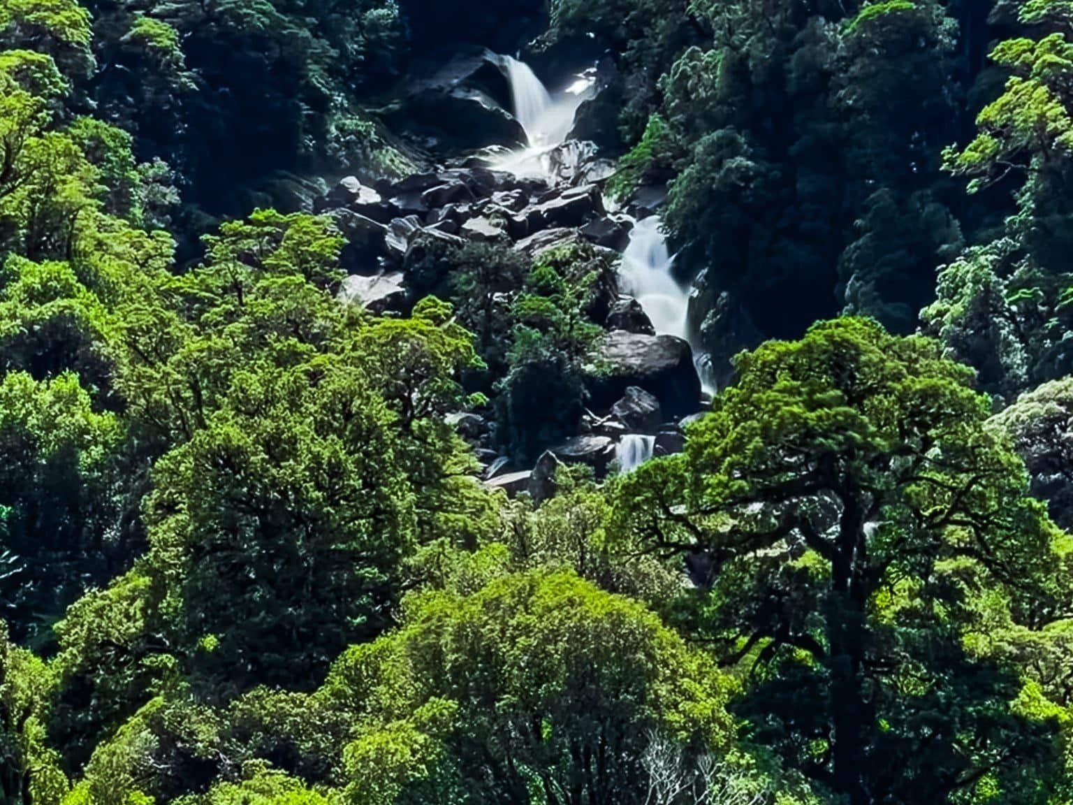 Image 3 of 12