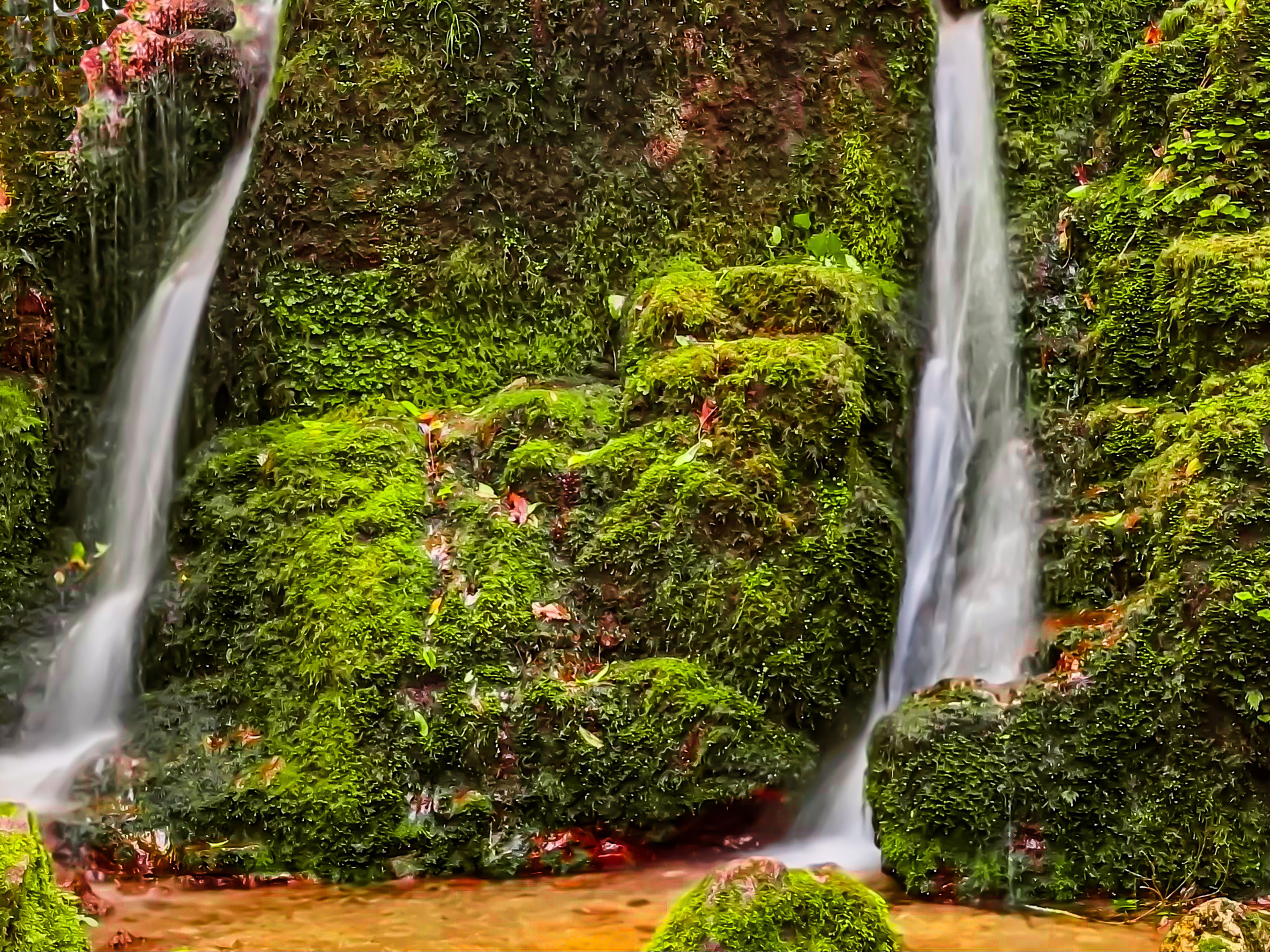 Twin Cascade Waterfall tumbling down green moss covered rocks