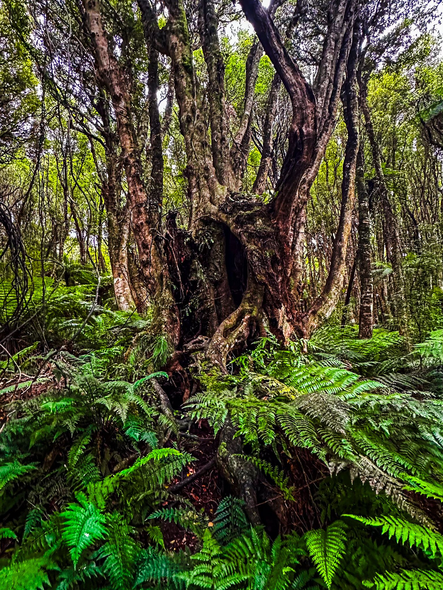 Image 6 of 10