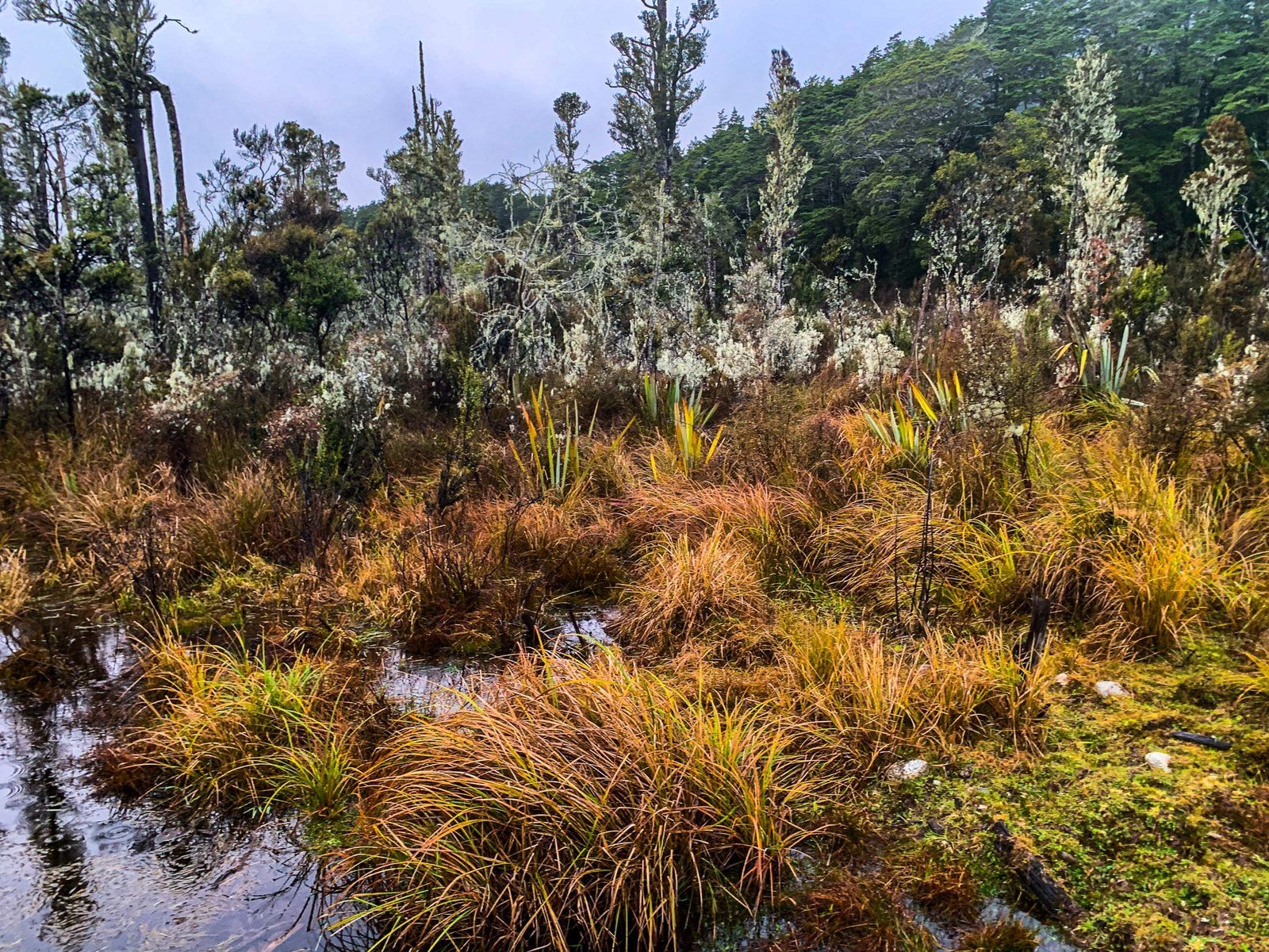 Image 8 of 10