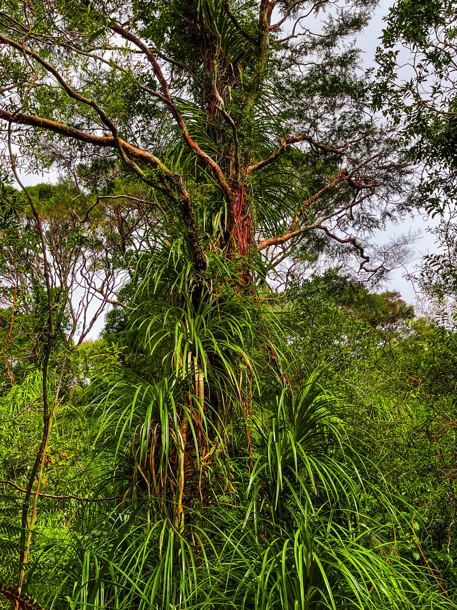 Image 8 of 10
