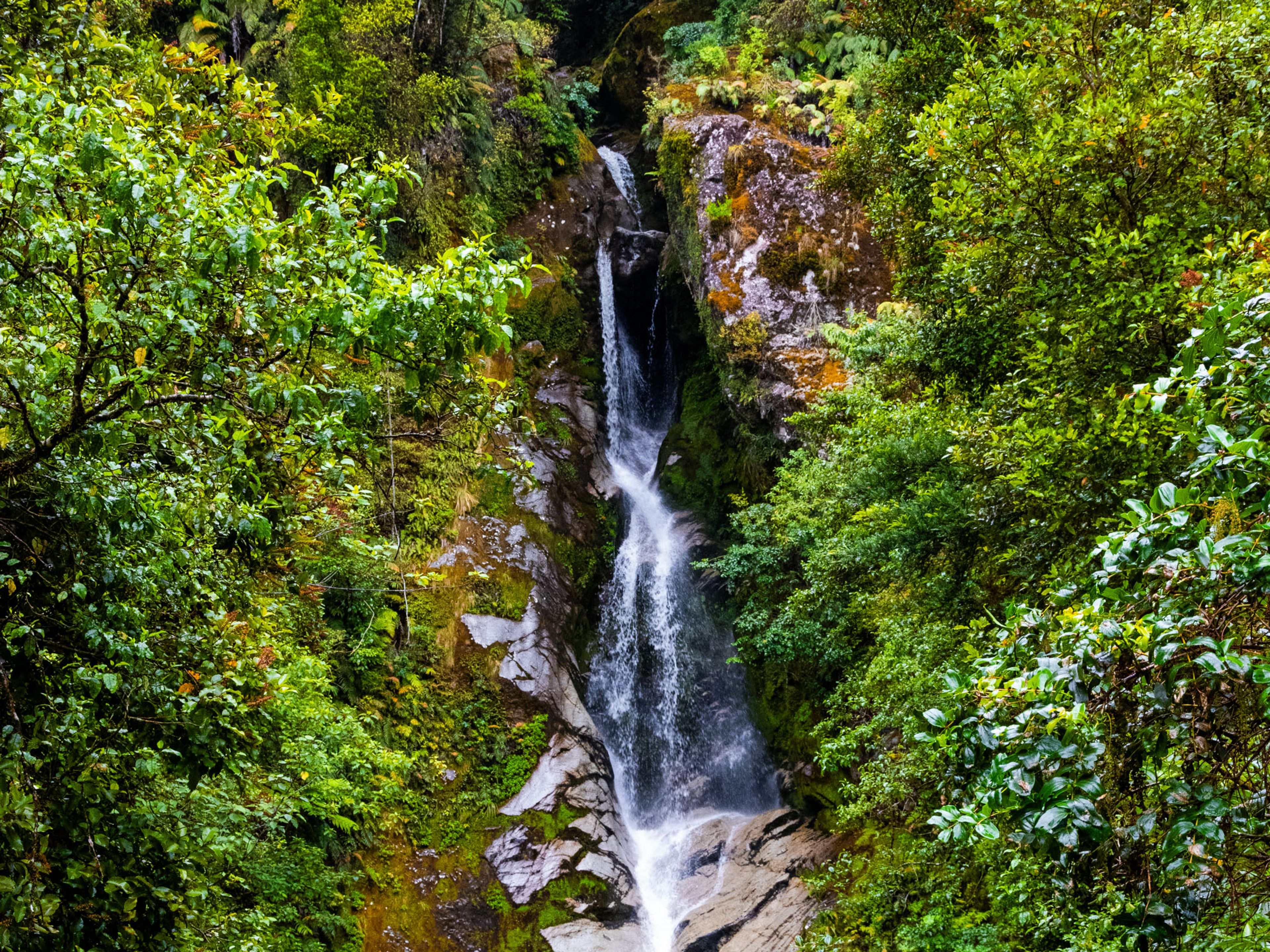 Dorothy Falls and Lake Kaniere