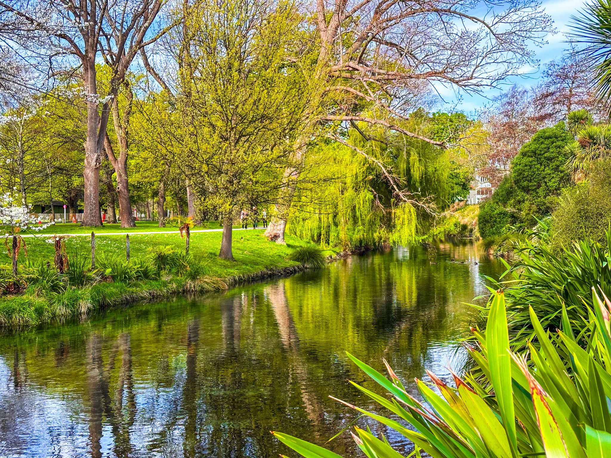 Hagley Park