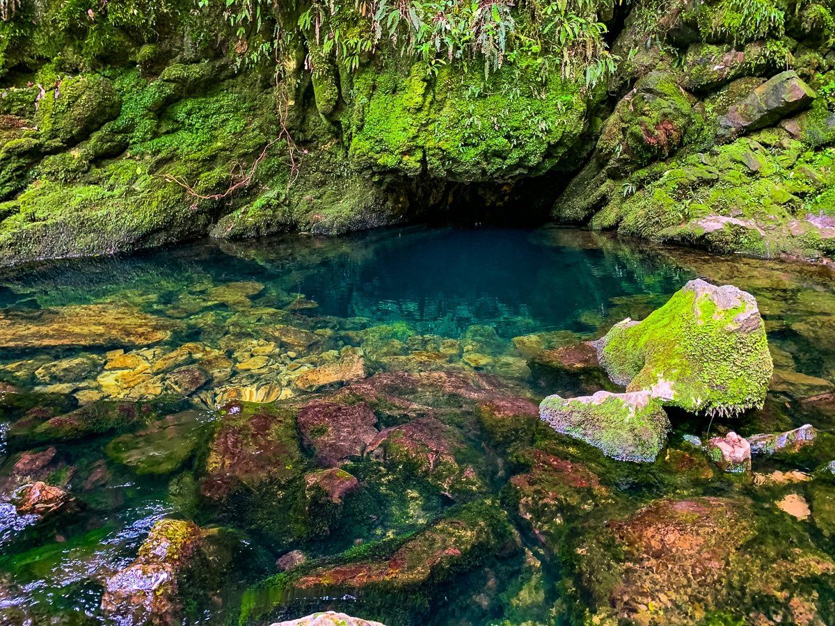 Riuwaka Resurgence Walk