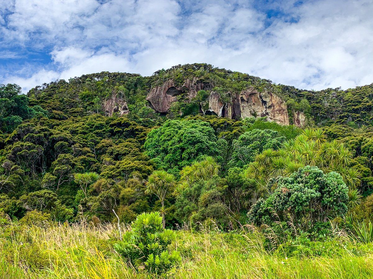 Whitianga Rock to Purangi Rd