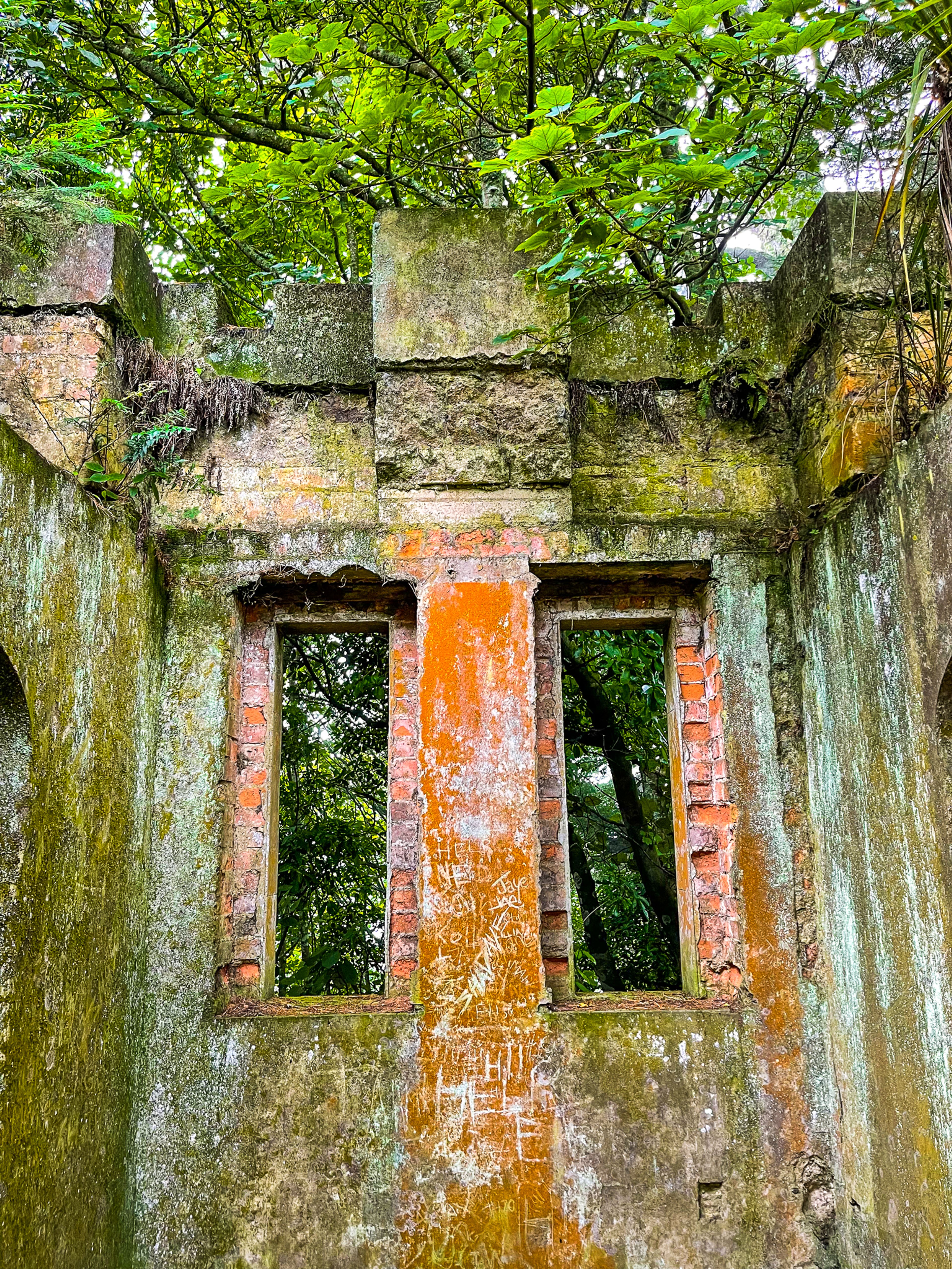 Image 4 of 10