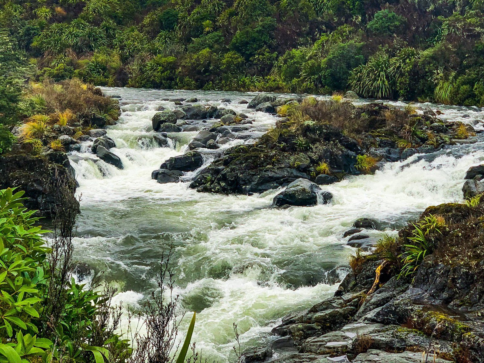 Mahuia Rapids