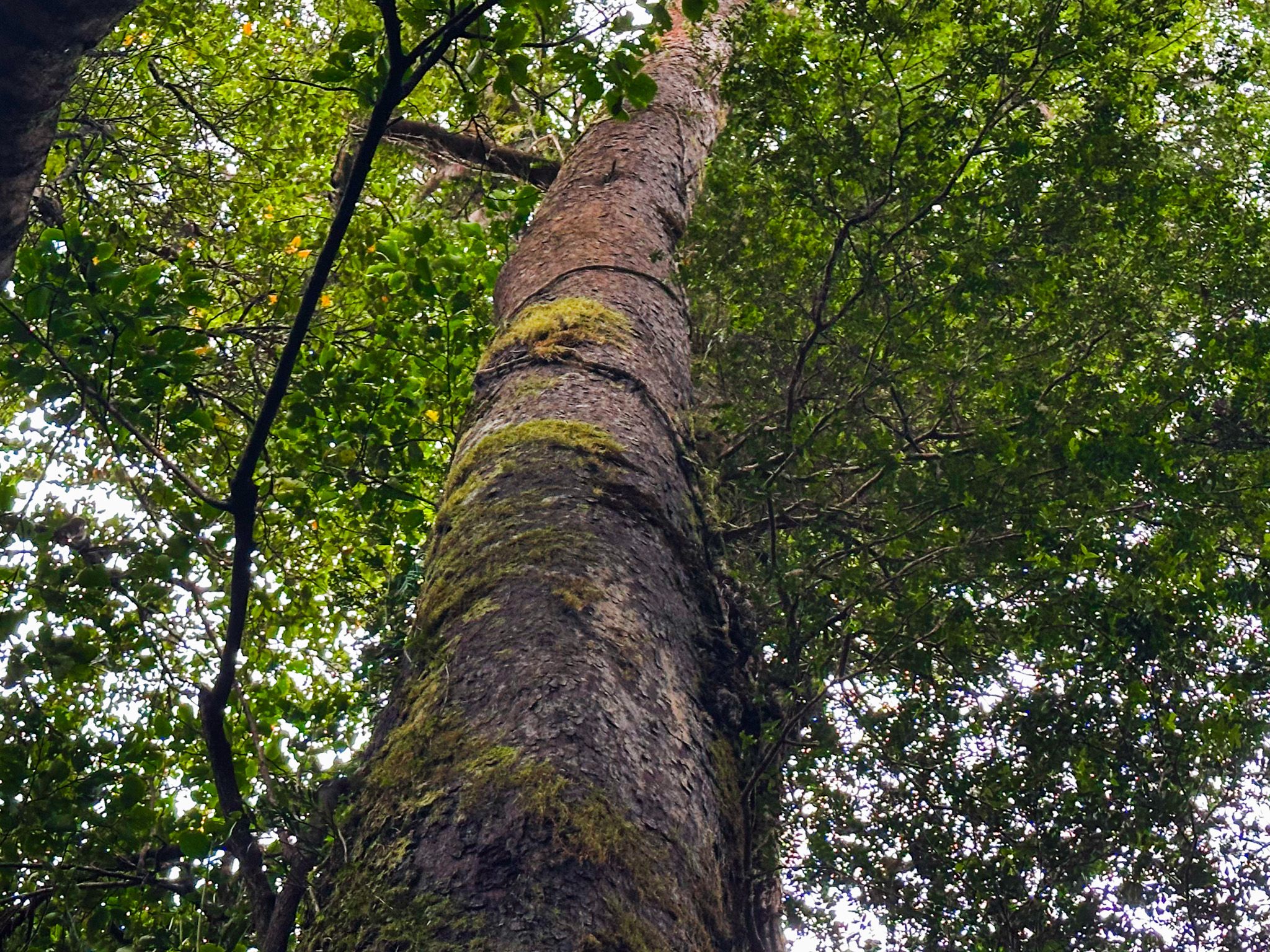 Image 9 of 10
