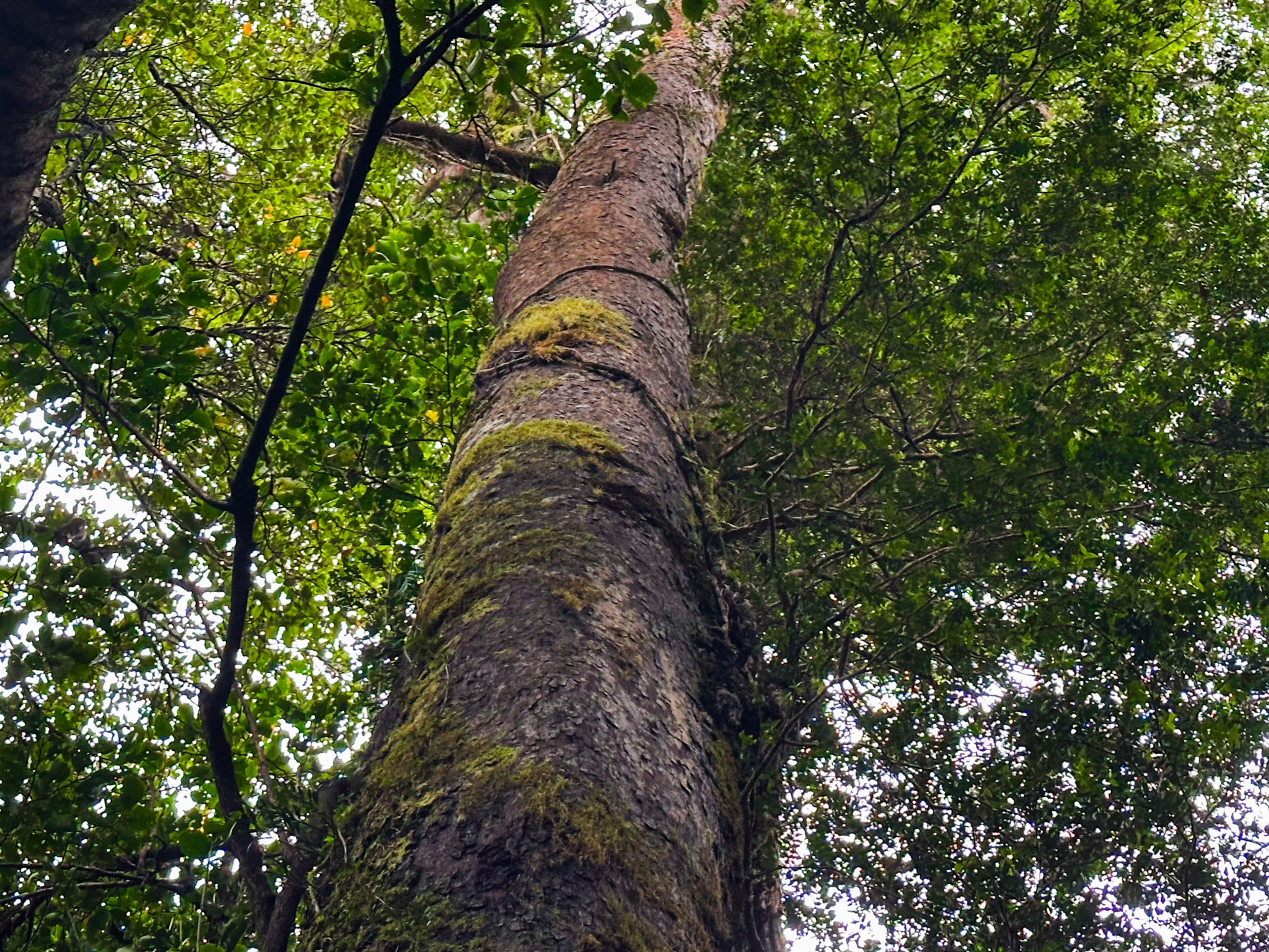 Image 9 of 10