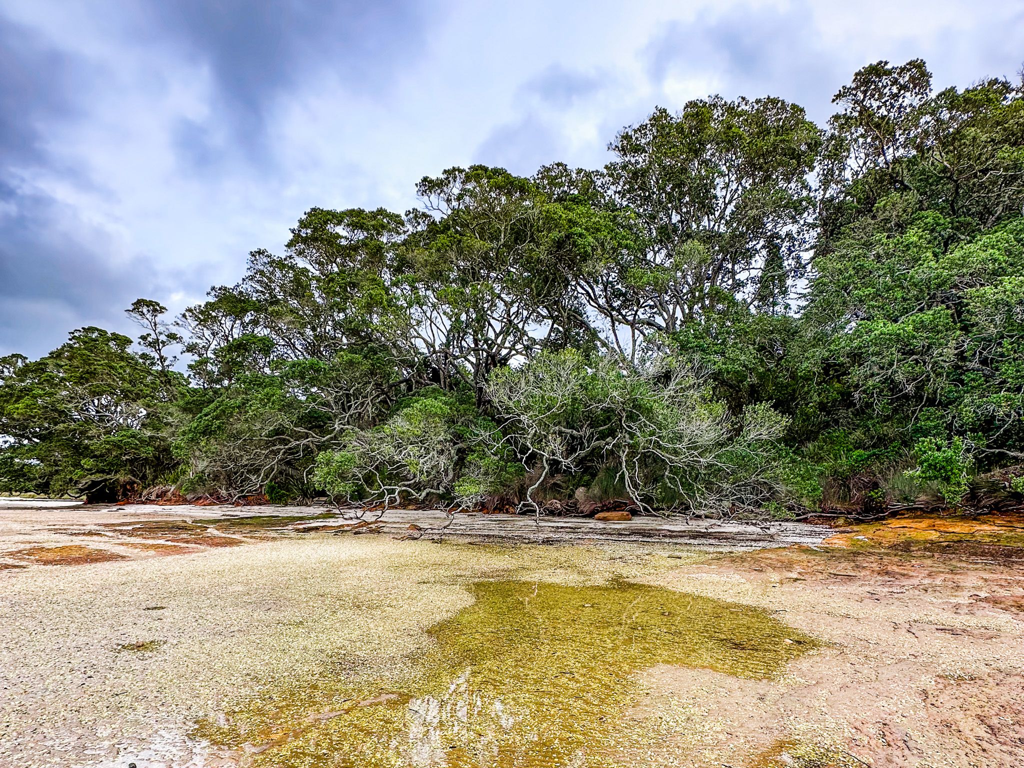 Image 9 of 10