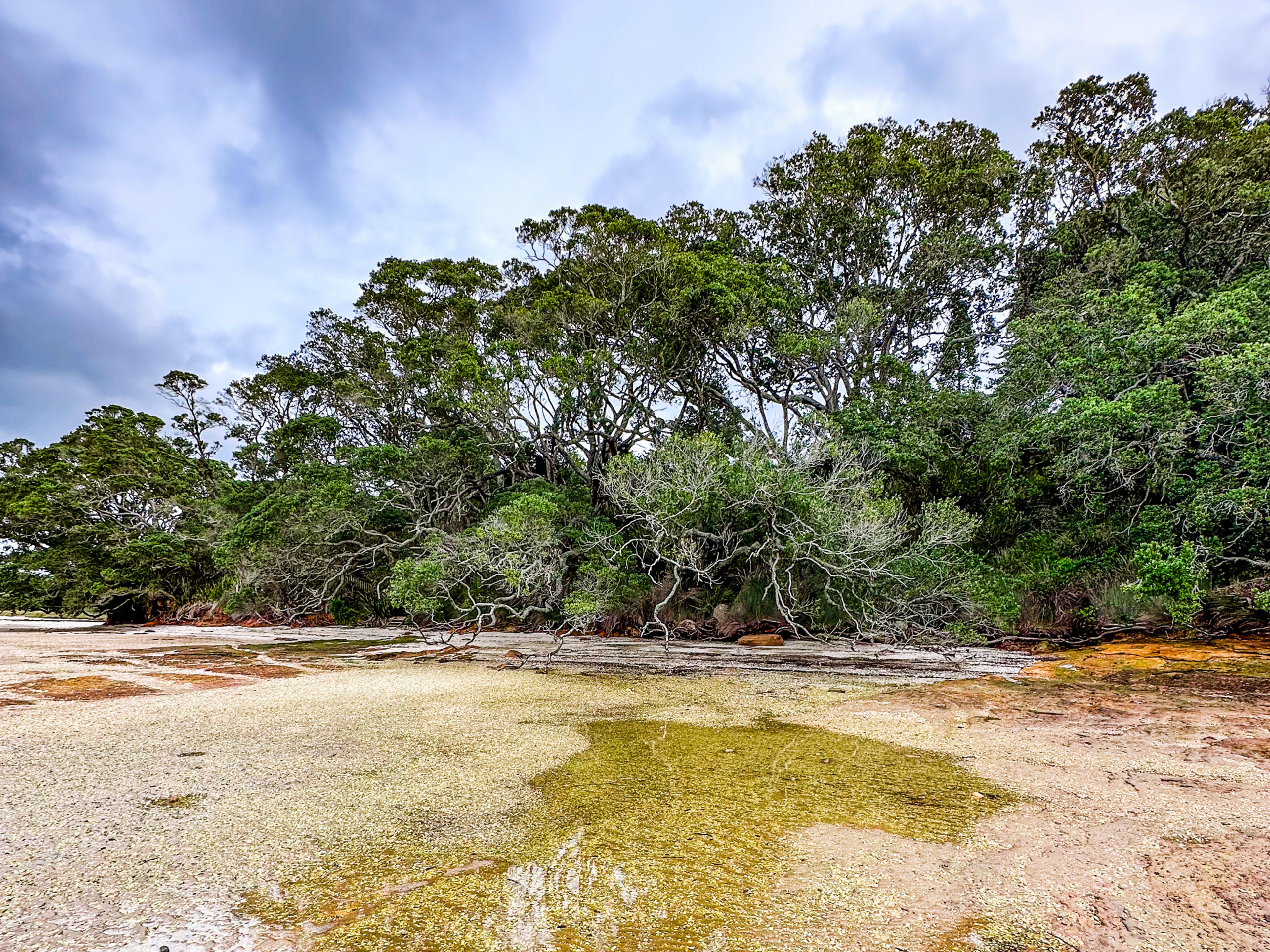 Image 9 of 10